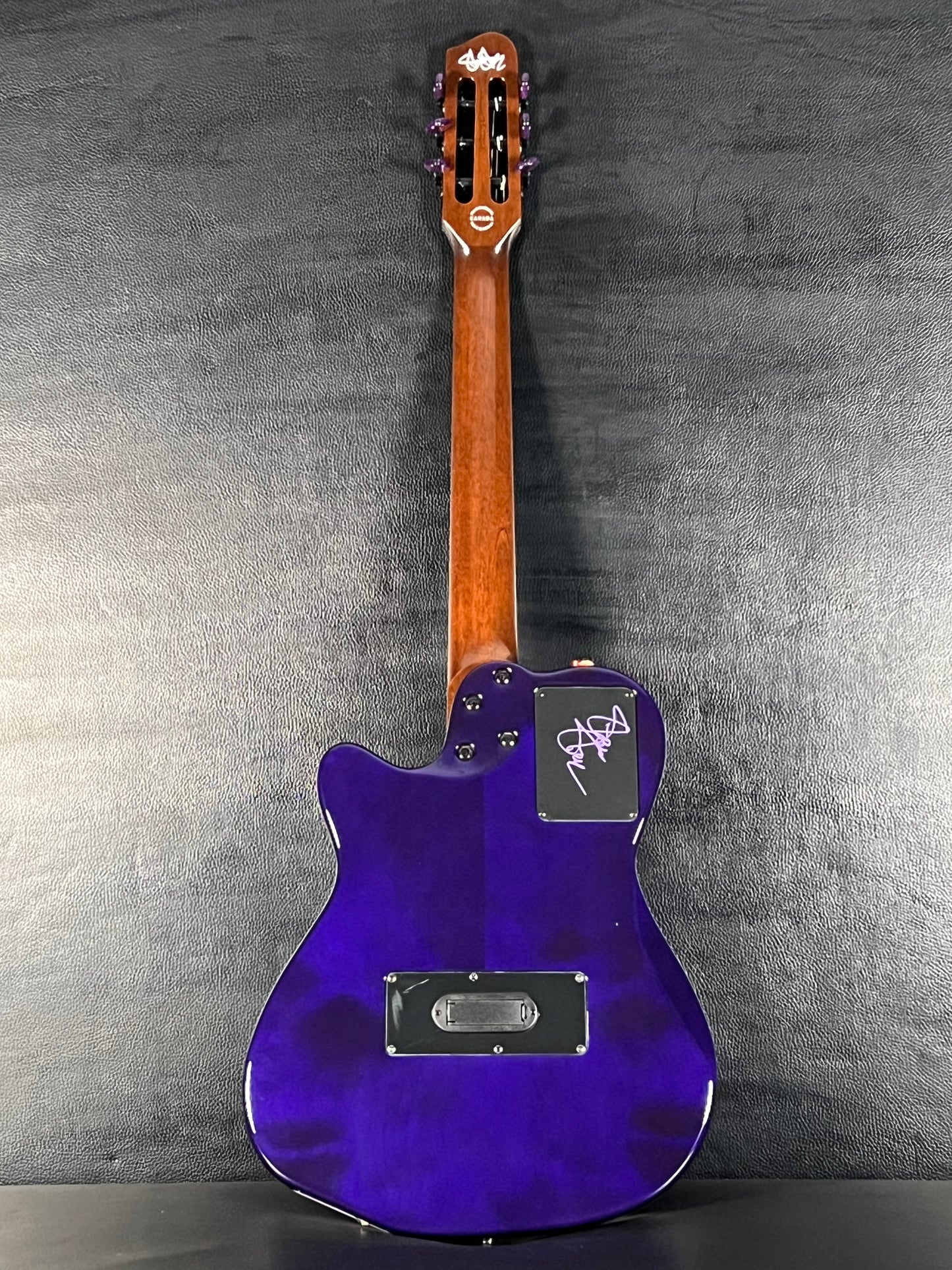 Godin ACS Nylon Steve Stevens Signature 25th Anniversary #669