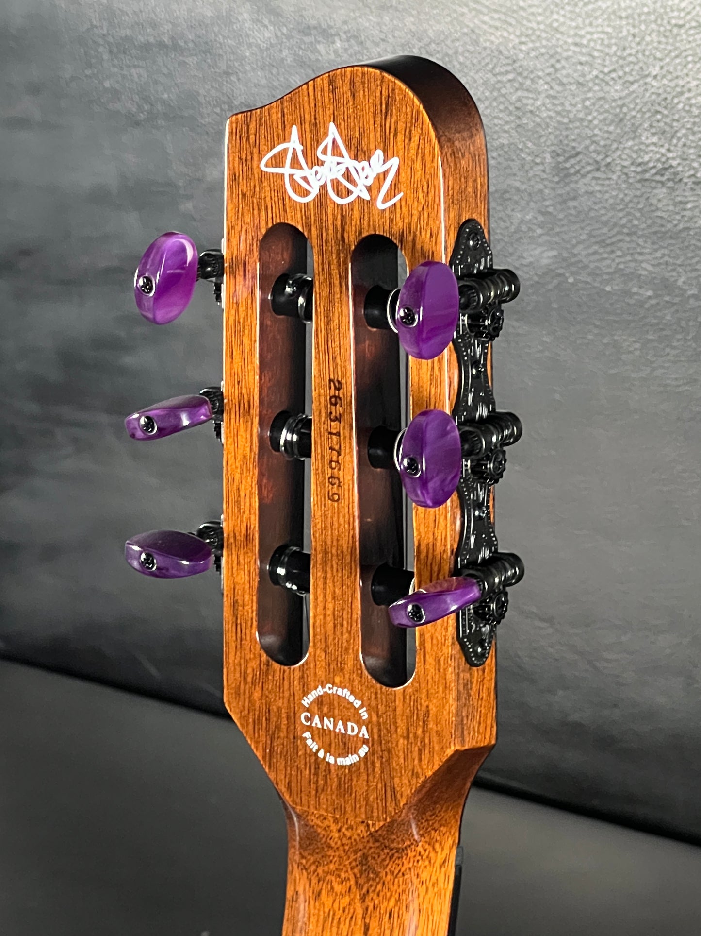 Godin ACS Nylon Steve Stevens Signature 25th Anniversary #669