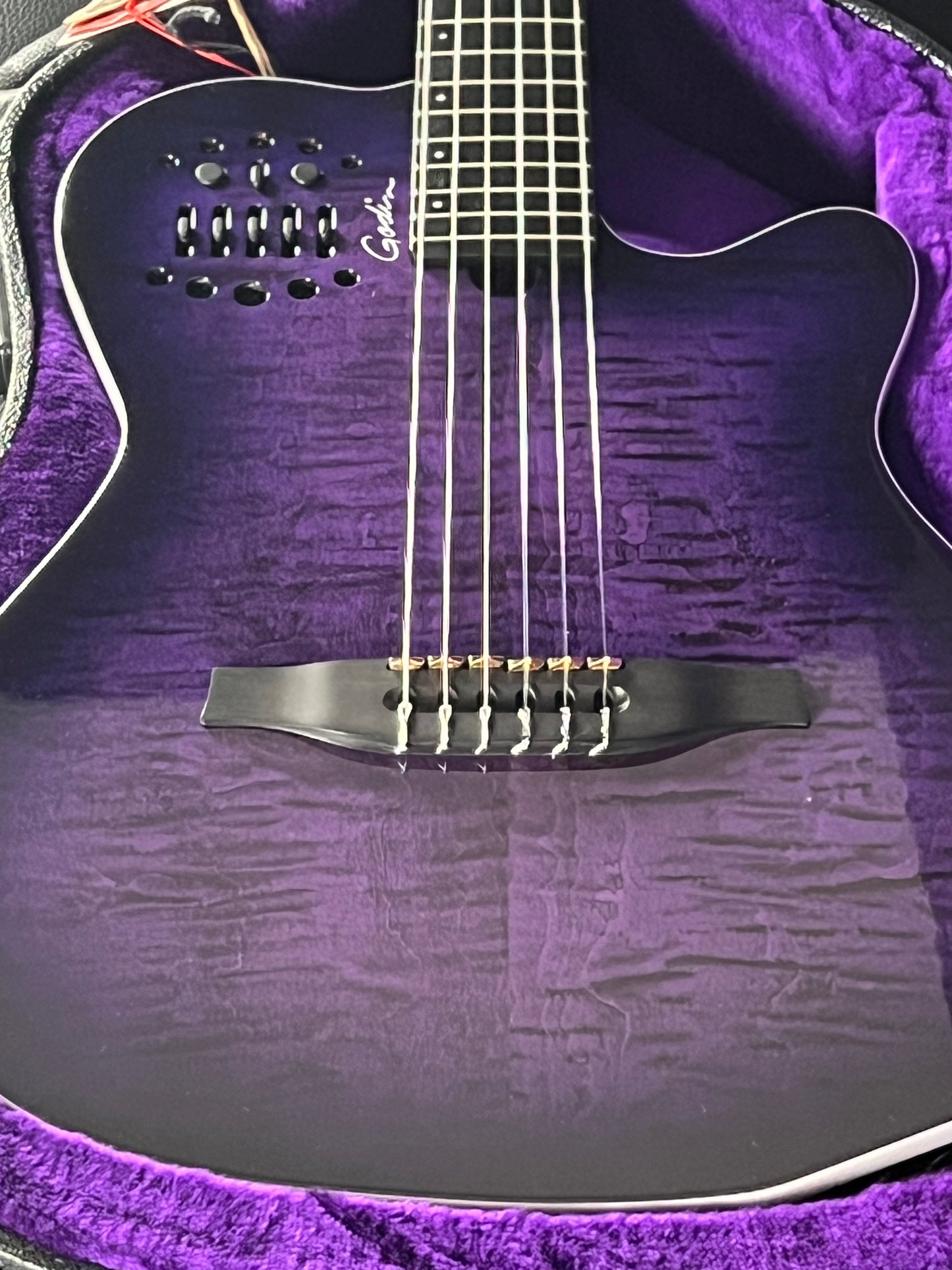Godin ACS Nylon Steve Stevens Signature 25th Anniversary #669