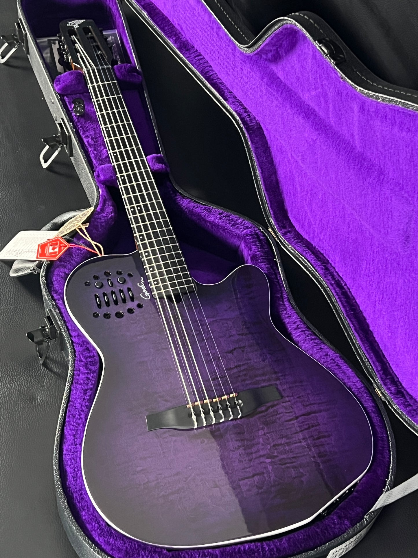 Godin ACS Nylon Steve Stevens Signature 25th Anniversary #614