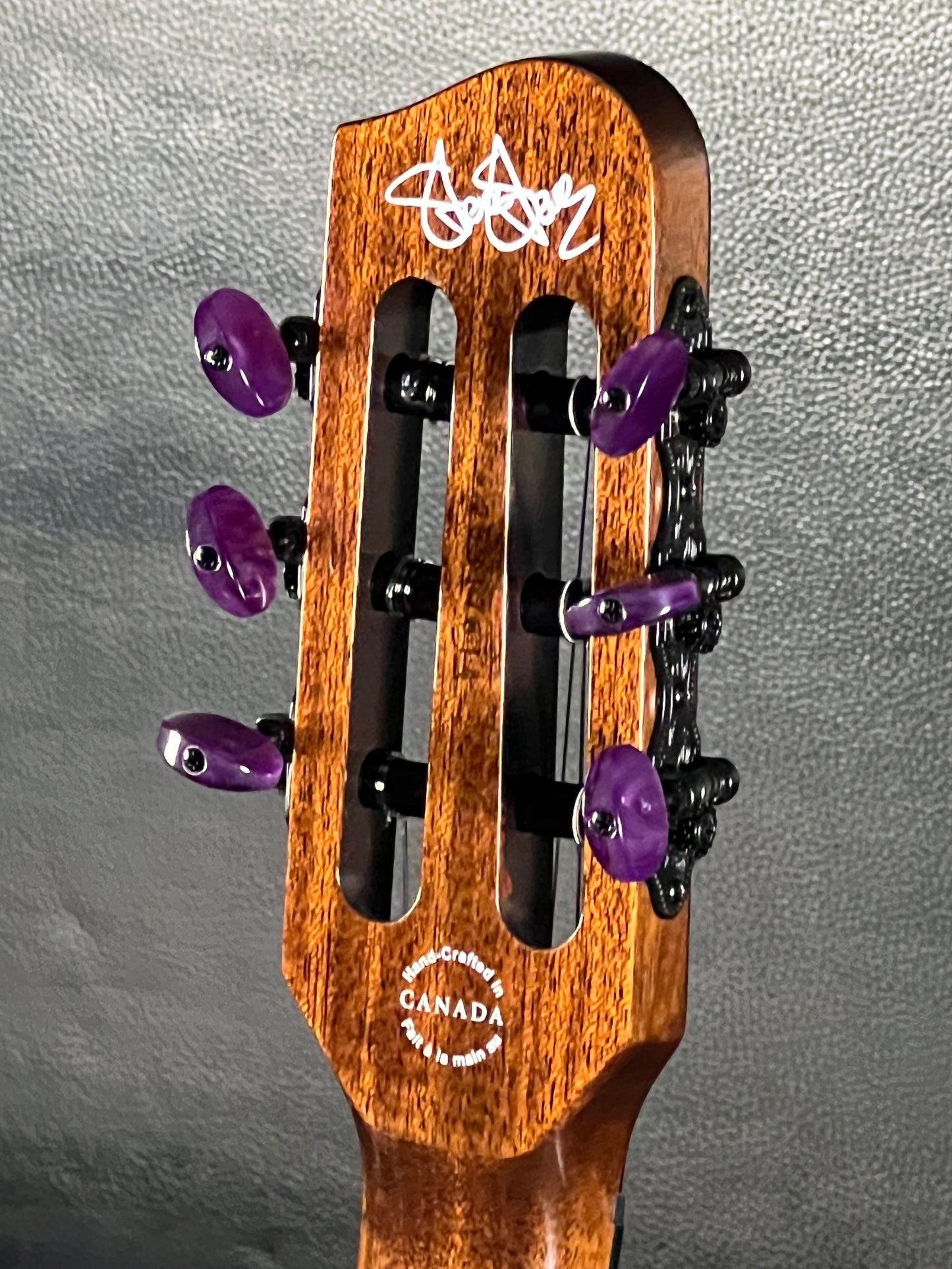Godin ACS Nylon Steve Stevens Signature 25th Anniversary #614