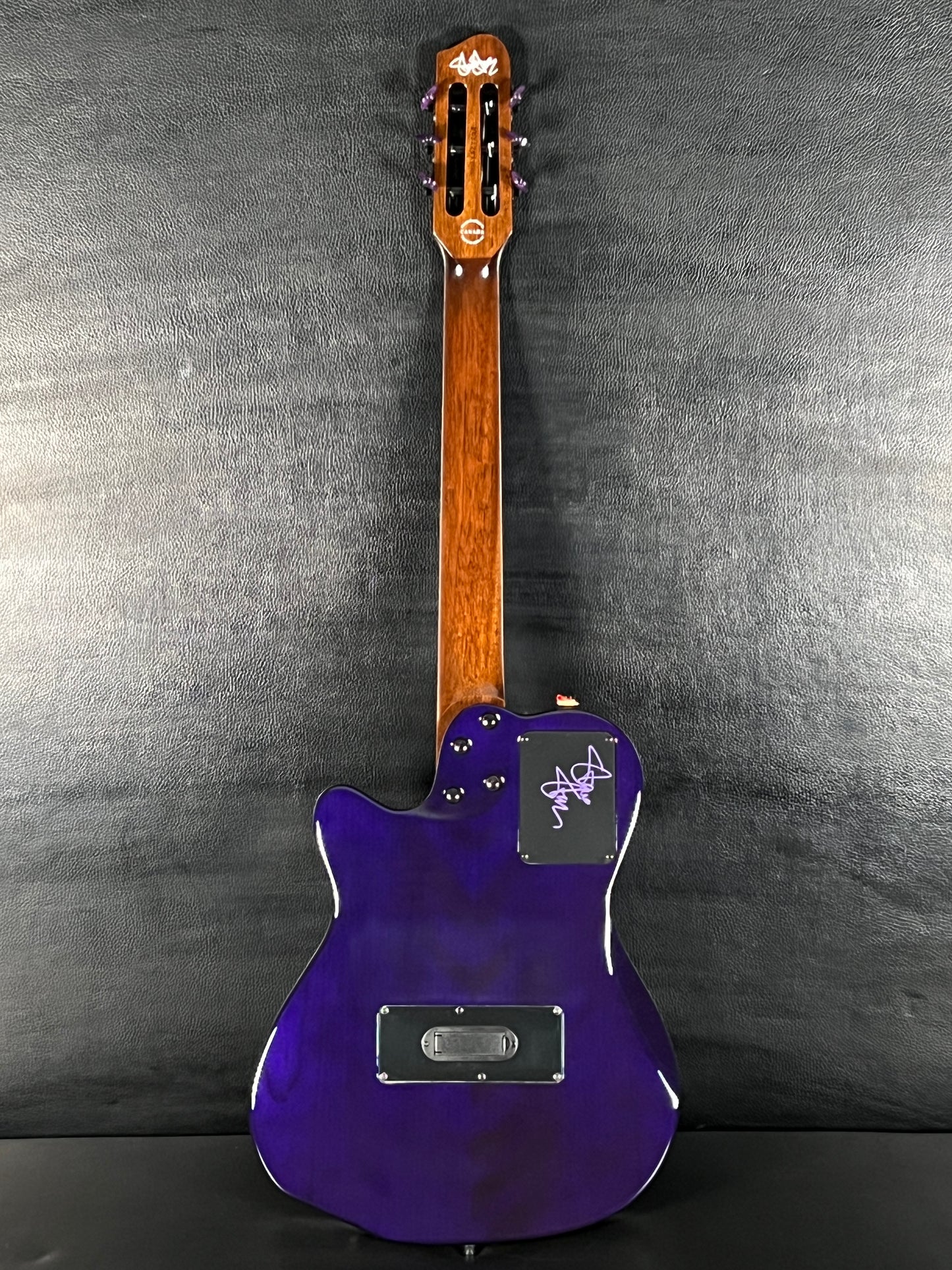Godin ACS Nylon Steve Stevens Signature 25th Anniversary #671 (ON HOLD) DON