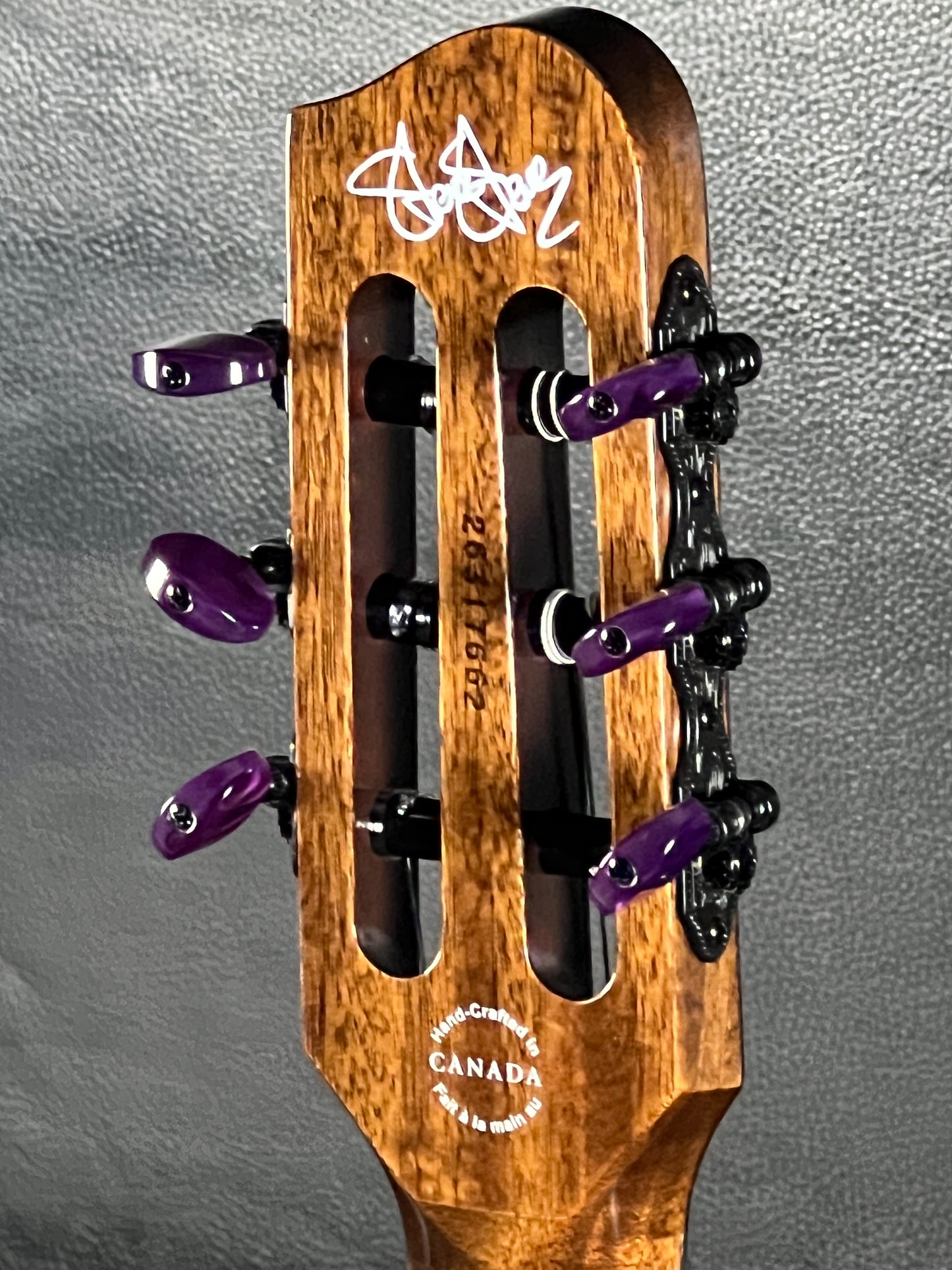 Godin ACS Nylon Steve Stevens Signature 25th Anniversary #662 (ON HOLD) JEREMIE