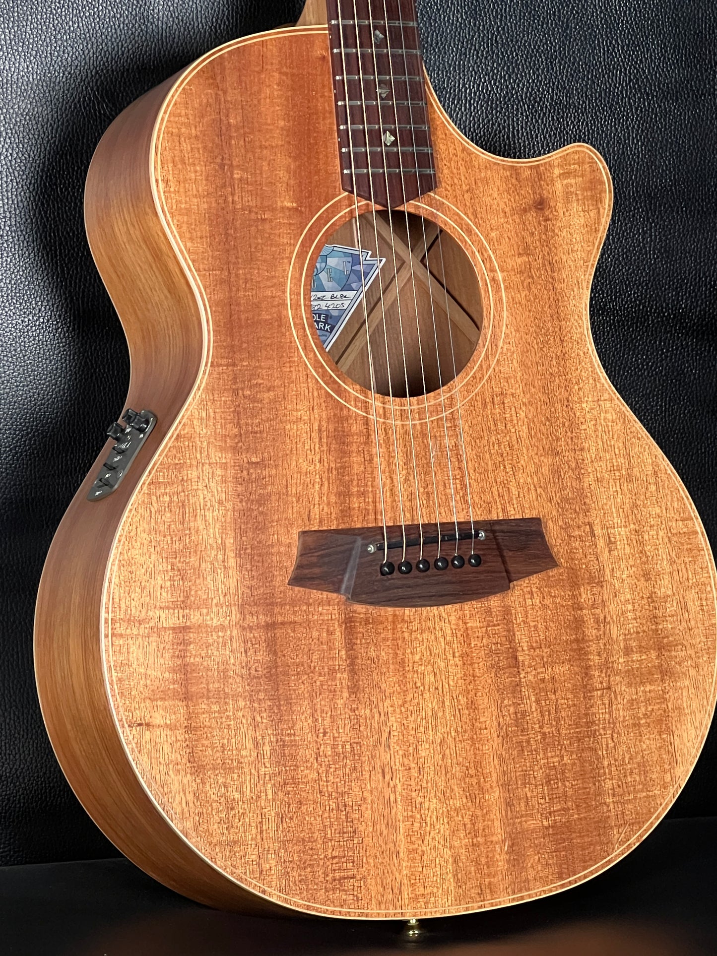 Cole Clark AN2EC CB (PRE-OWNED)