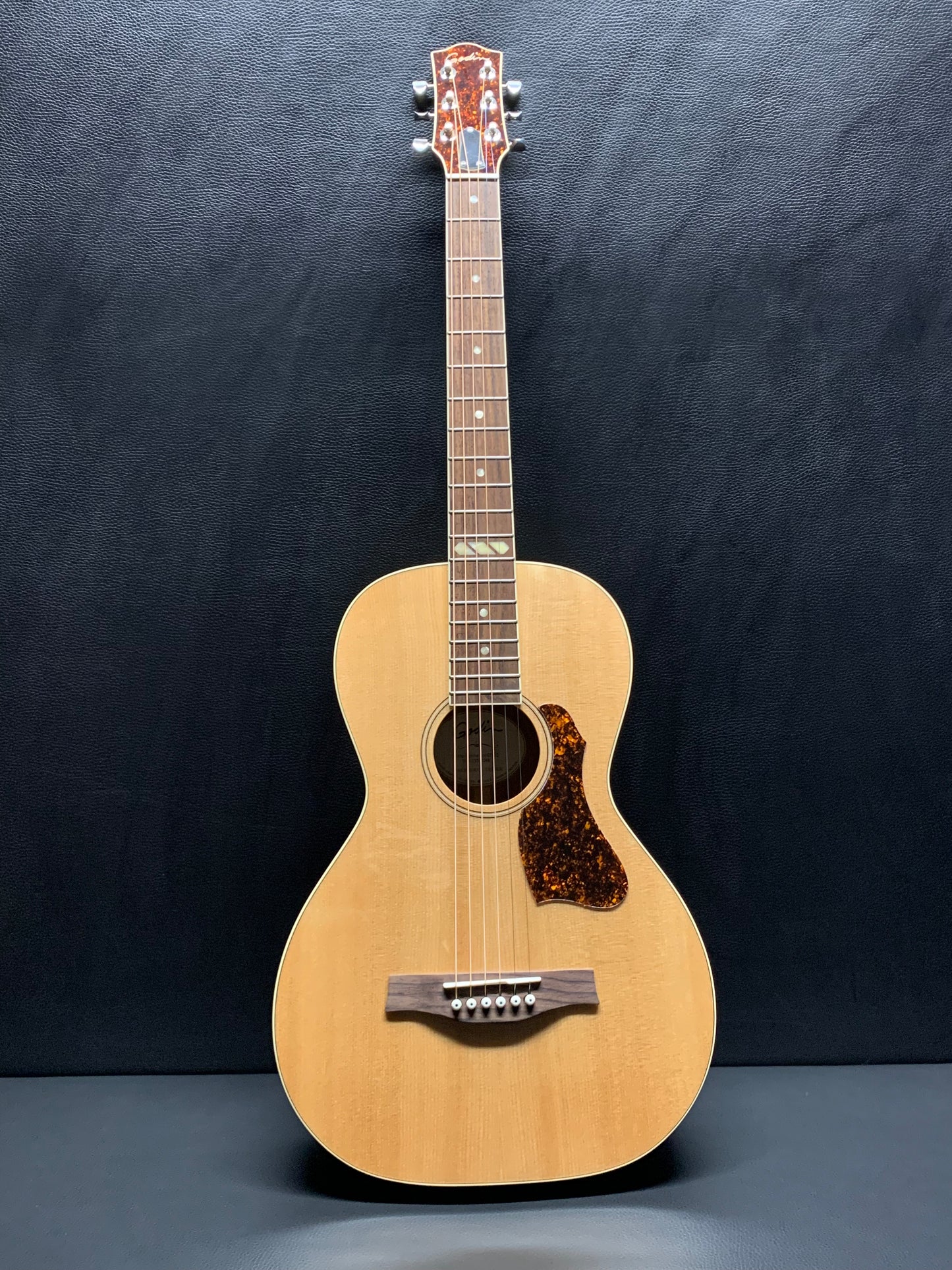 Godin Rialto Natural RN GT EQ #051533000048