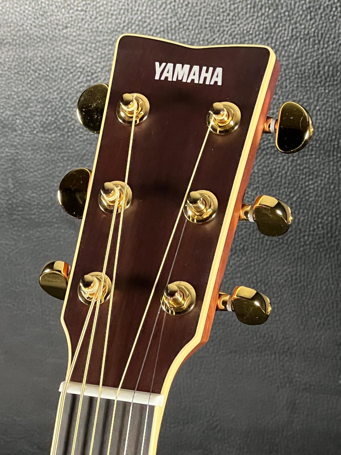 Yamaha LL16 ARE Dark Tinted