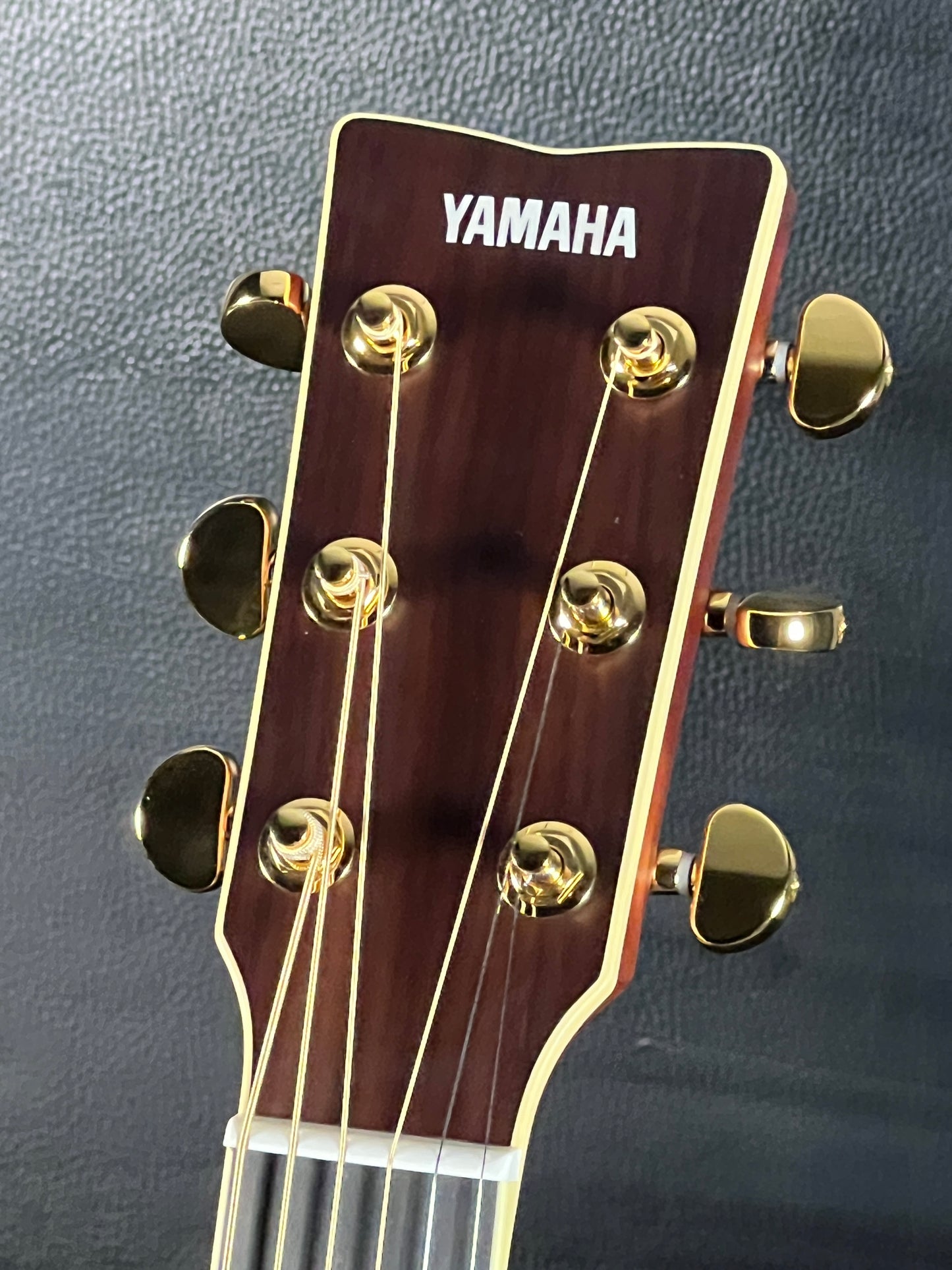 Yamaha LL16 ARE #546