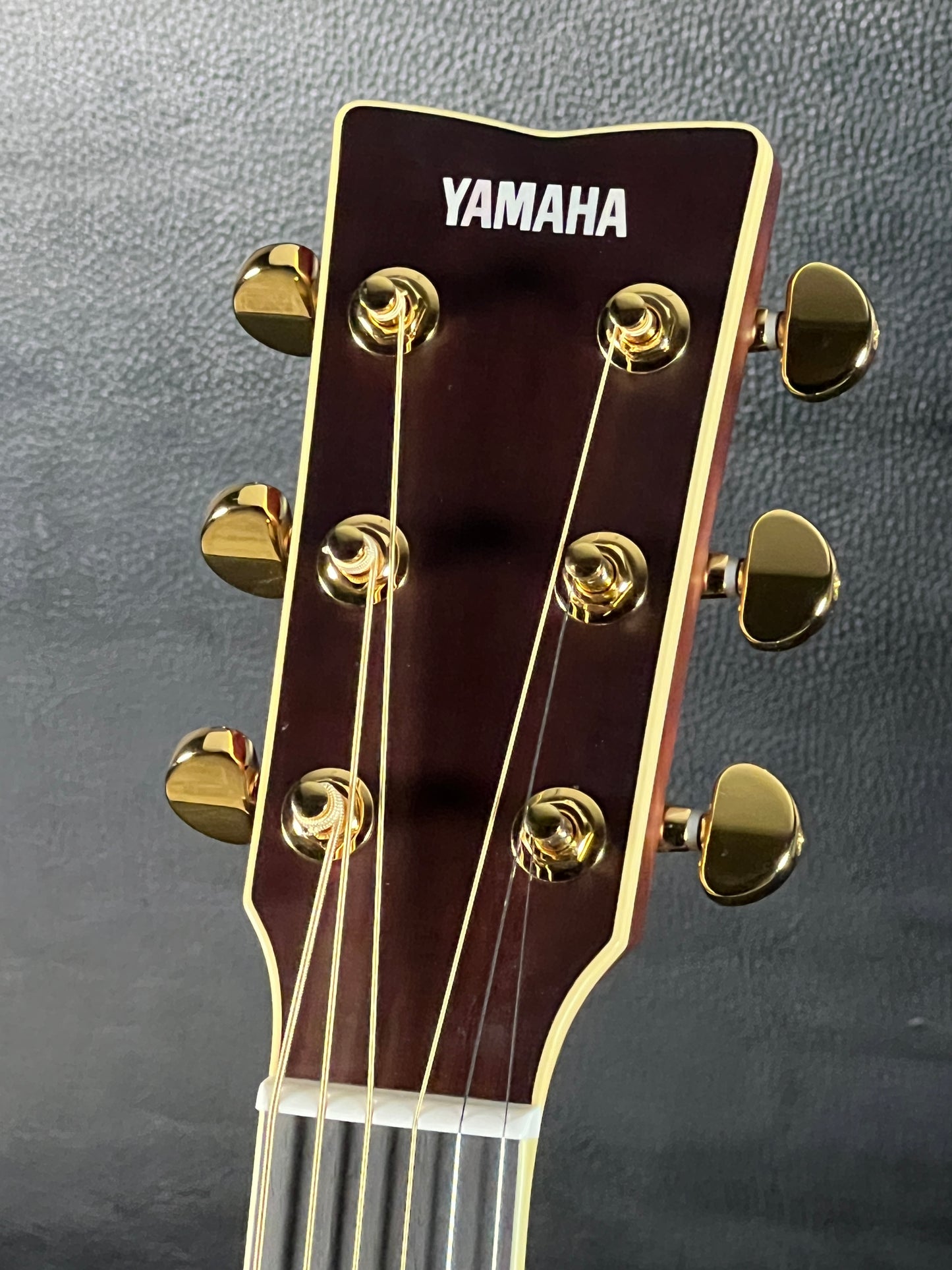 Yamaha LL16 ARE #563