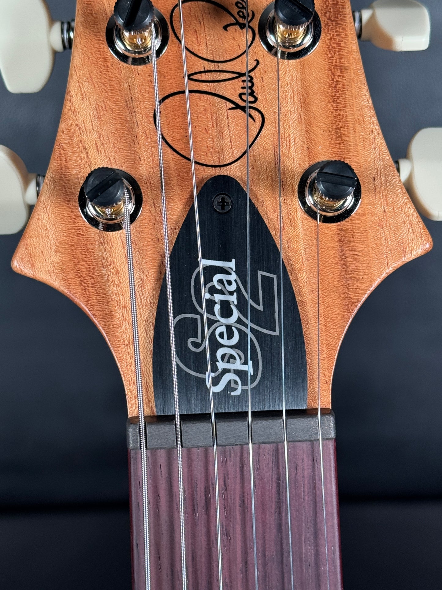 PRS S2 SPECIAL SEMI-HOLLOW RECLAIMED LIMITED EDITION