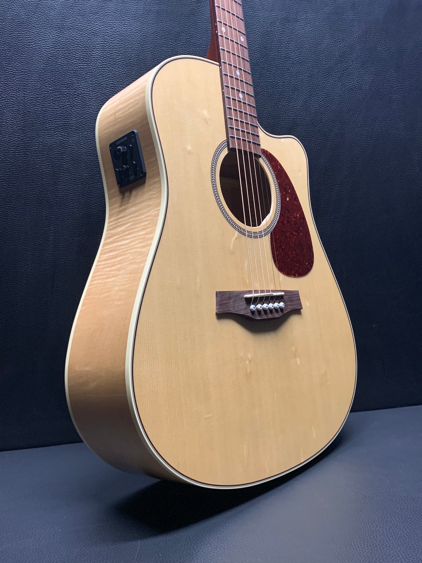 Seagull Performer CW HG Presys II w/ Gig Bag #052103000207