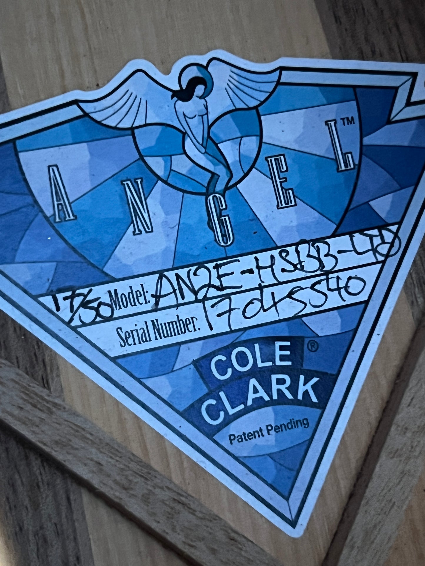 2017 Cole Clark AN2E-HSBB-LTD Angel Limited Edition (PRE-OWNED)