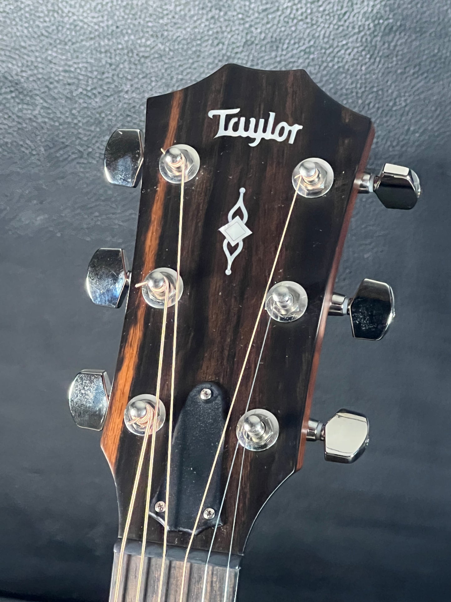 Taylor 317e (PRE-OWNED)