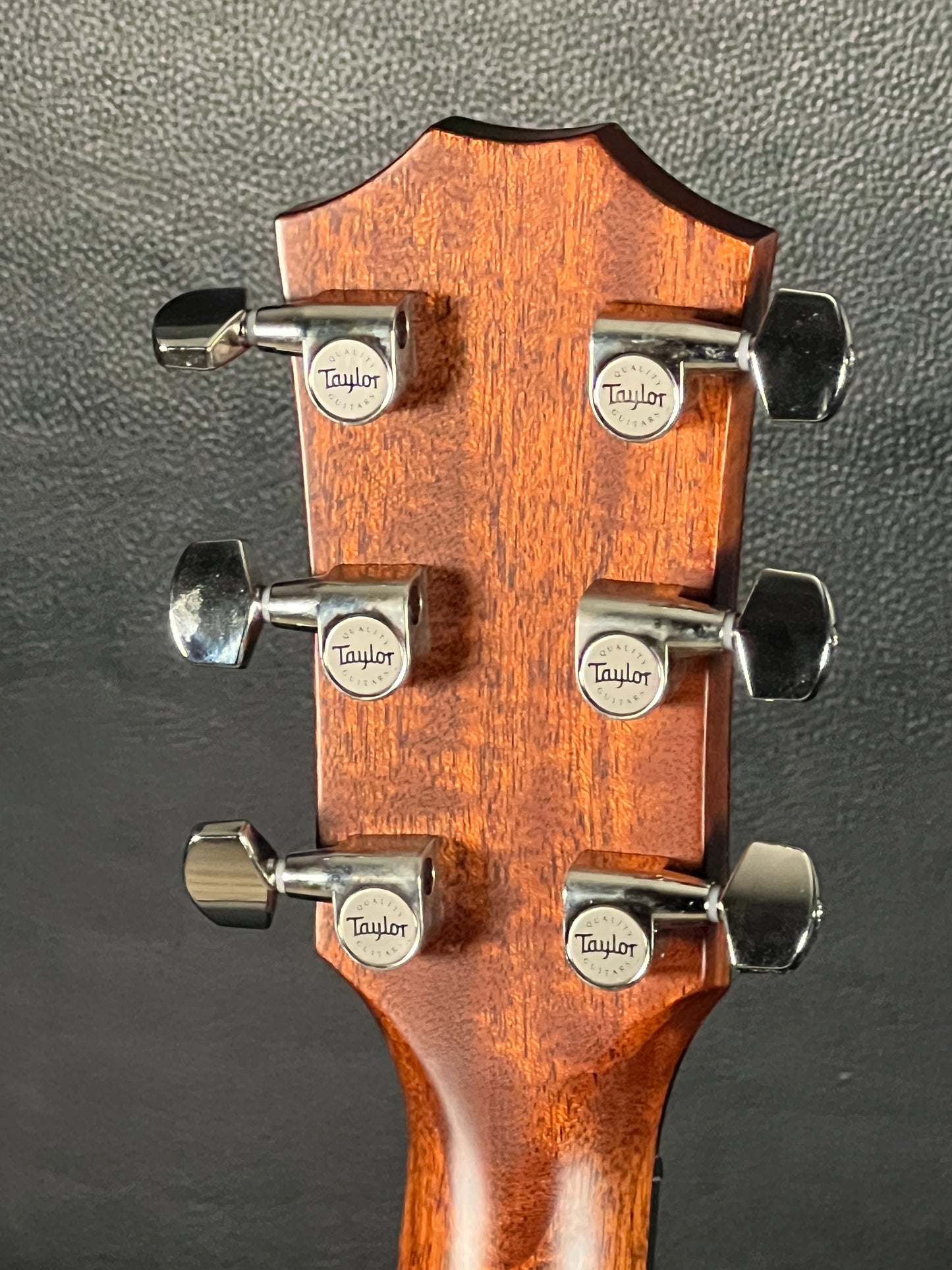 Taylor 317e (PRE-OWNED)
