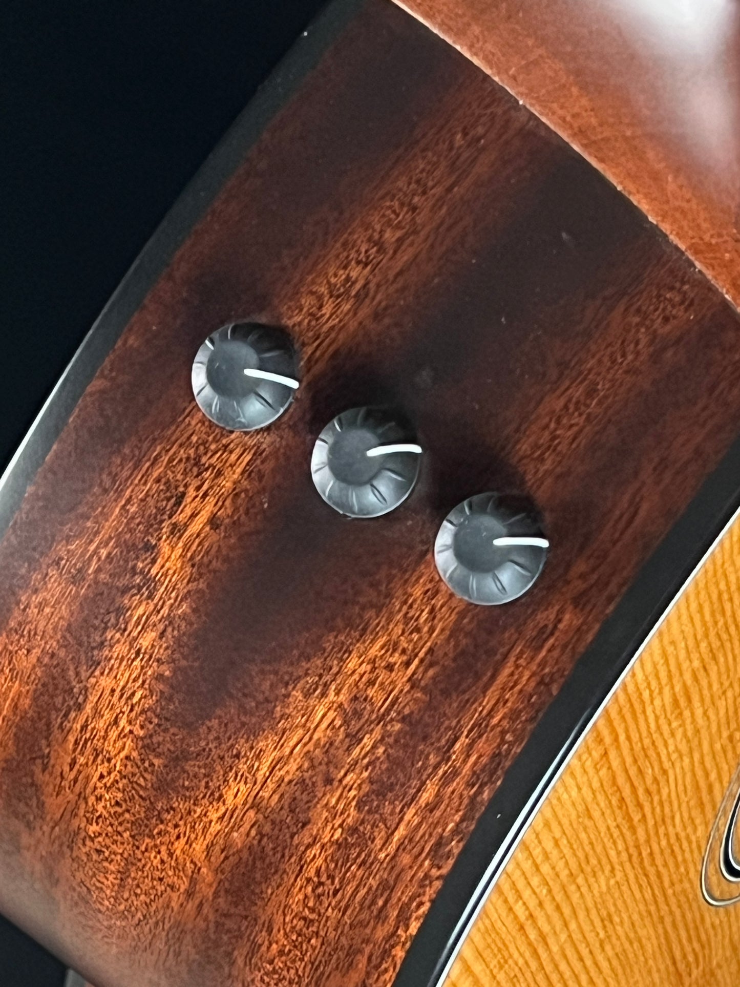 Taylor 317e (PRE-OWNED)