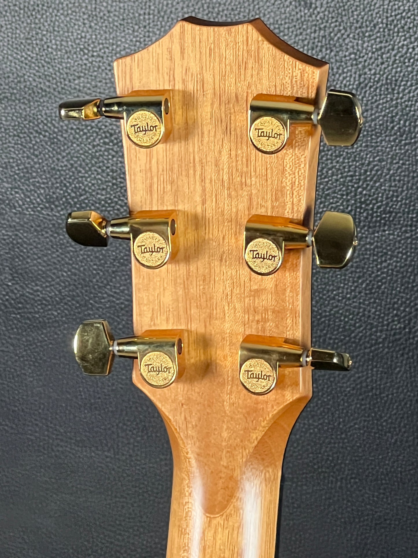 Taylor Special Edition 414ce 2024 (PRE-OWNED)
