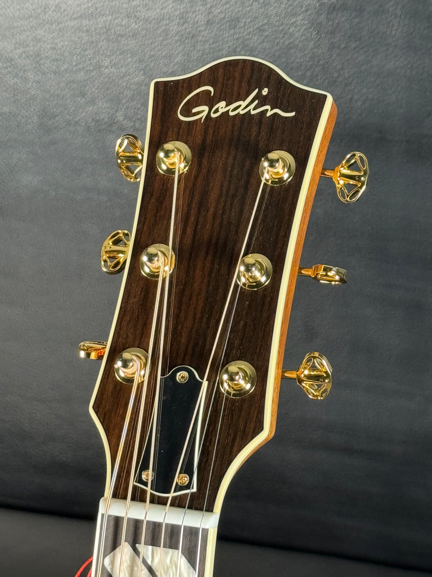 Godin Connaisseur Natural #031