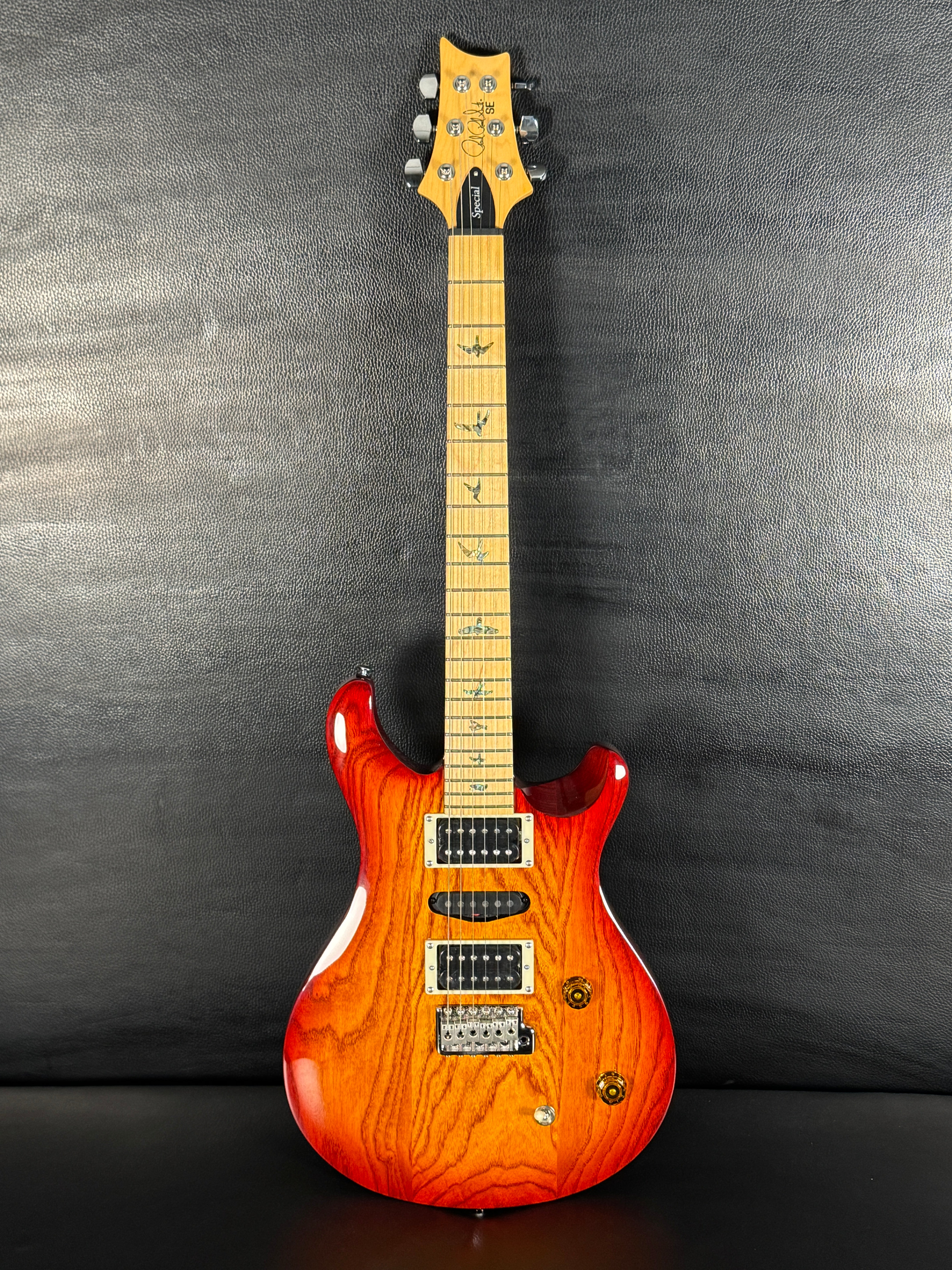 PRS SE Swamp Ash Special Electric Guitar Vintage Sunburst – Guitar