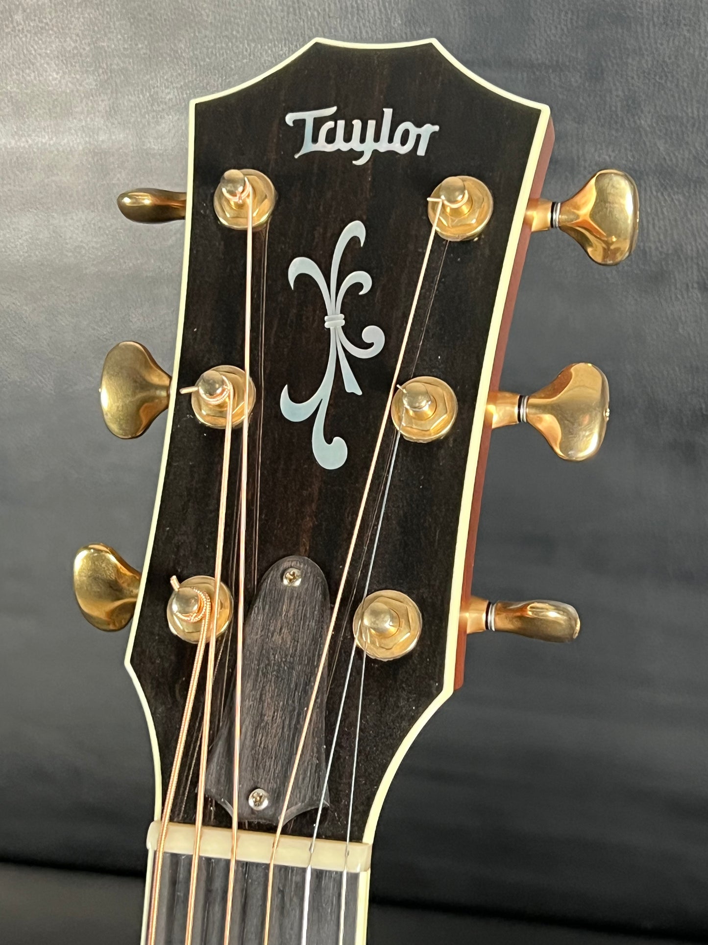 Taylor 916CE 2008 (PRE-OWNED)