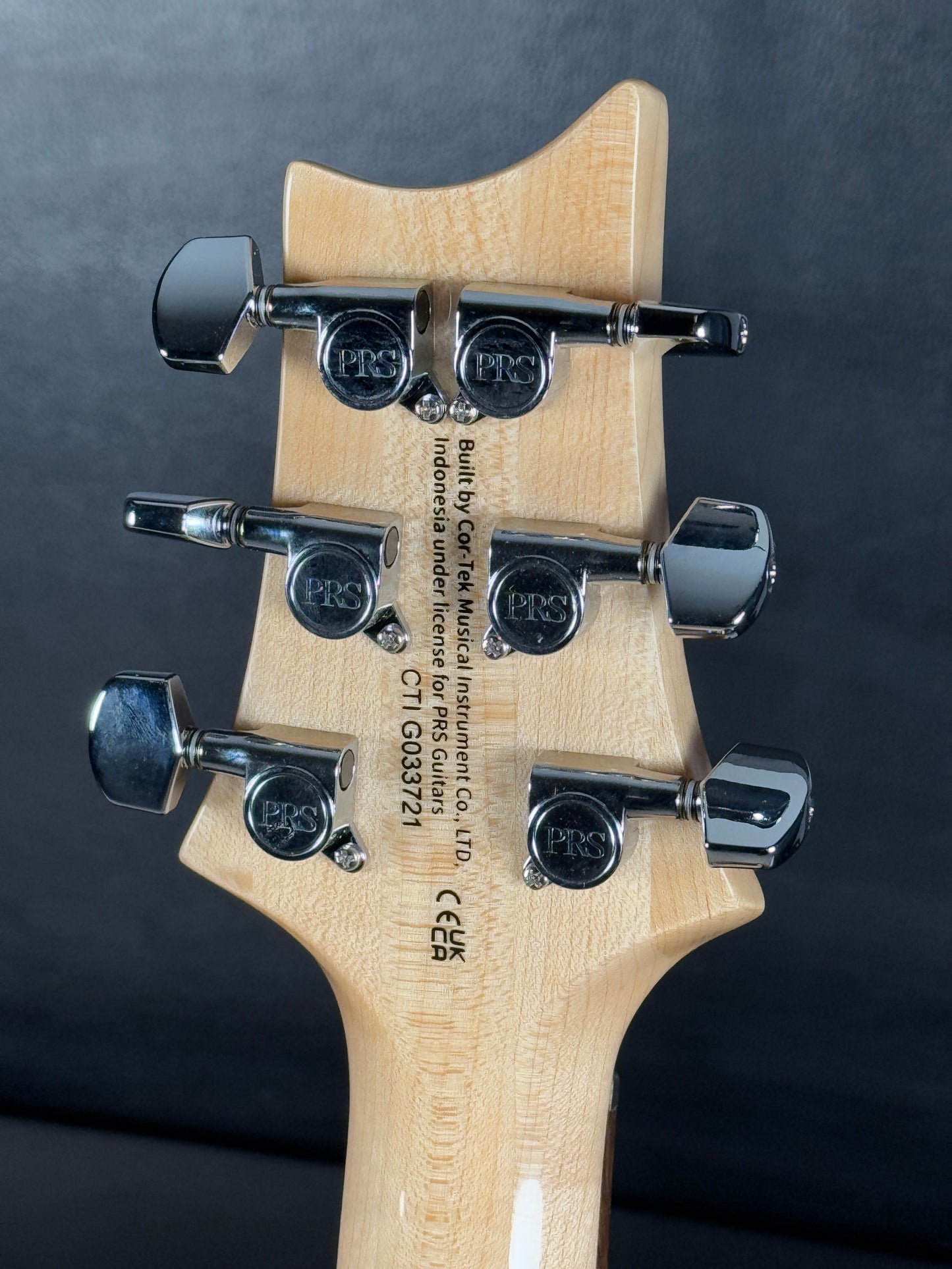 PRS SE Custom 24 Turquoise