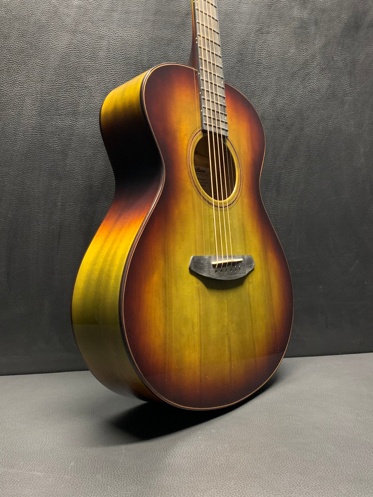 Breedlove Oregon Concert Earthsong LTD #28931