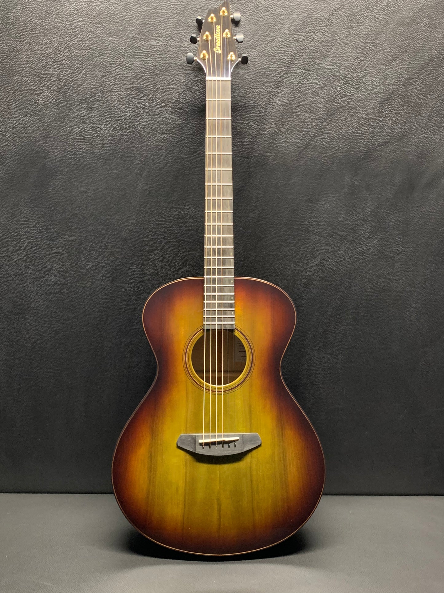 Breedlove Oregon Concert Earthsong LTD #28931