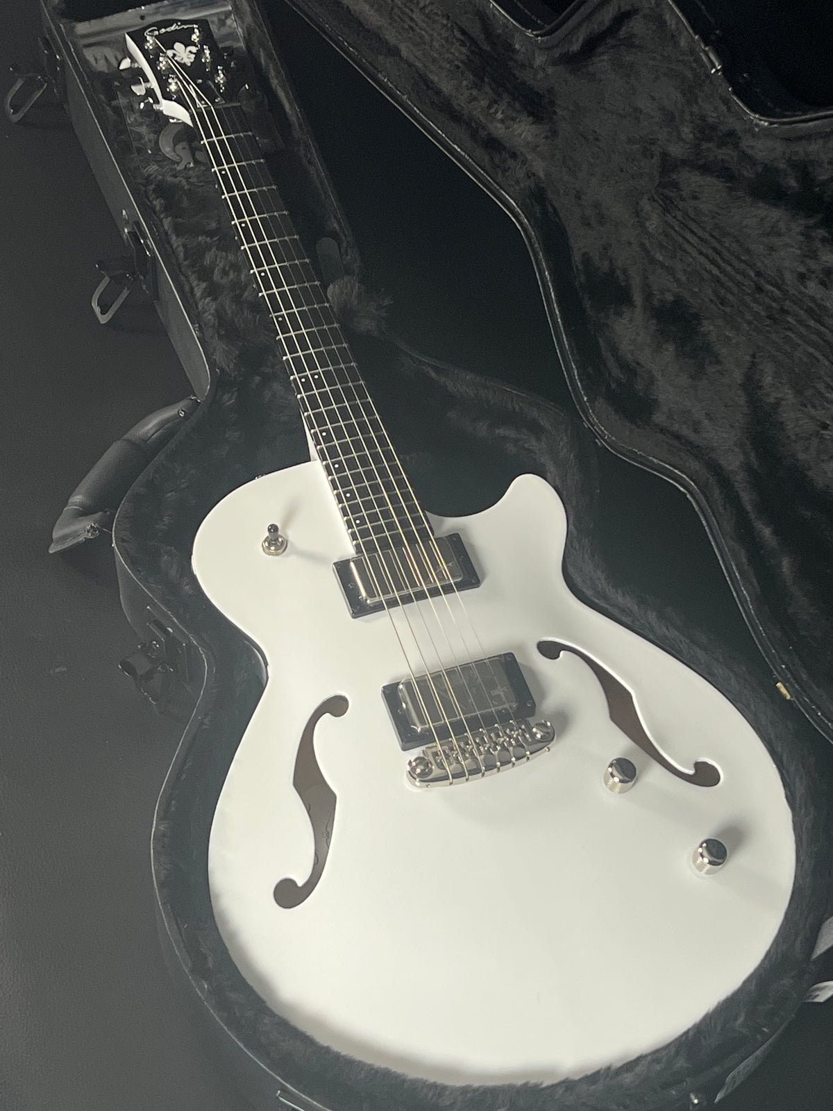 Godin Rik Emmett Premiere