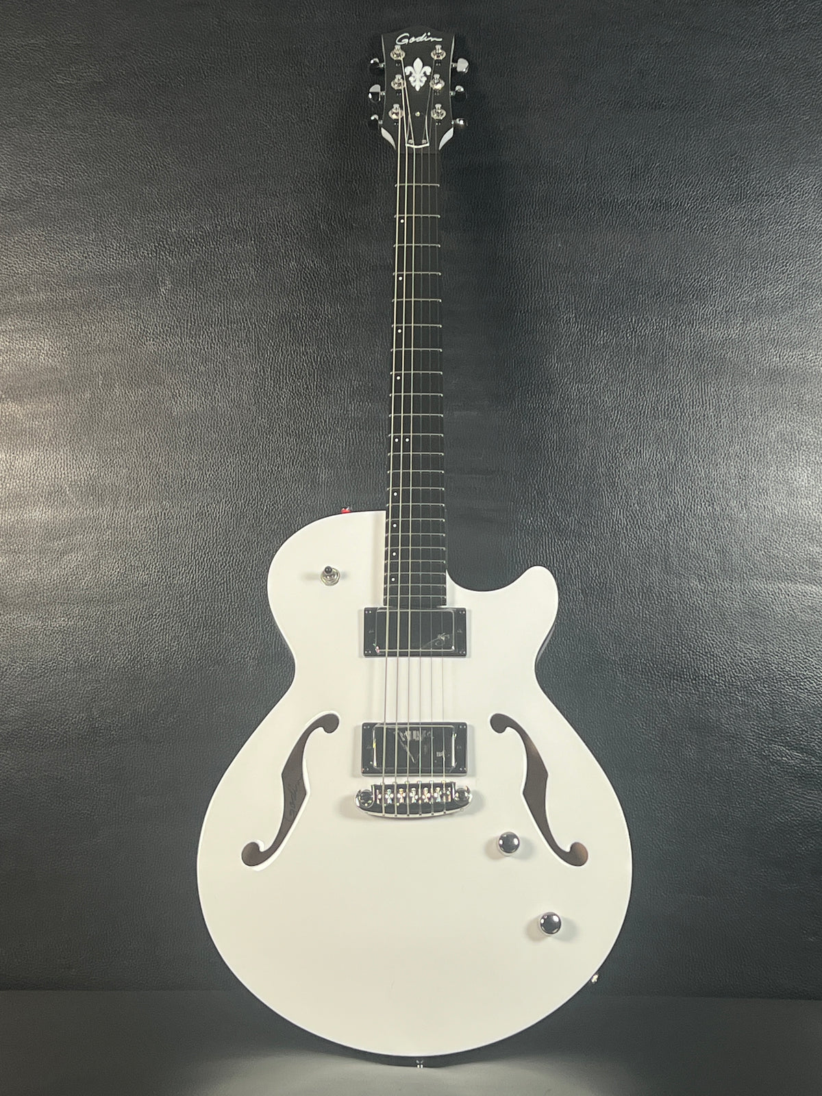 Godin Rik Emmett Premiere