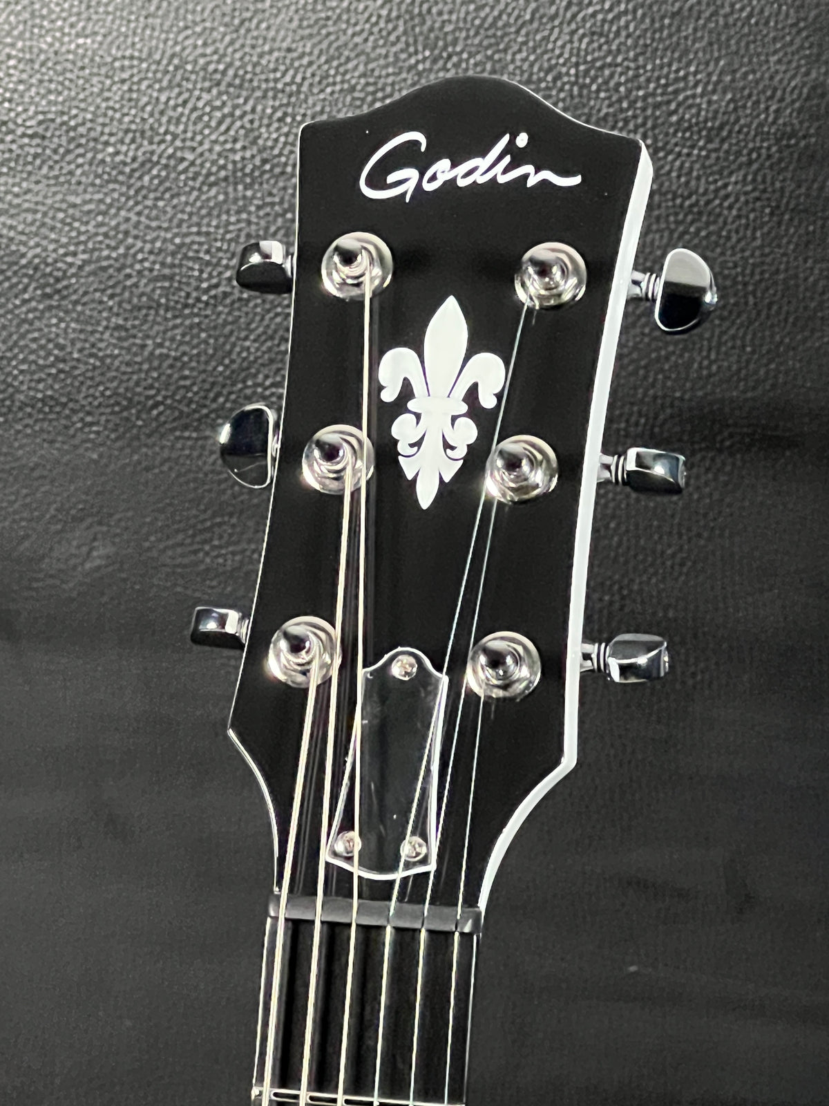 Godin Rik Emmett Premiere