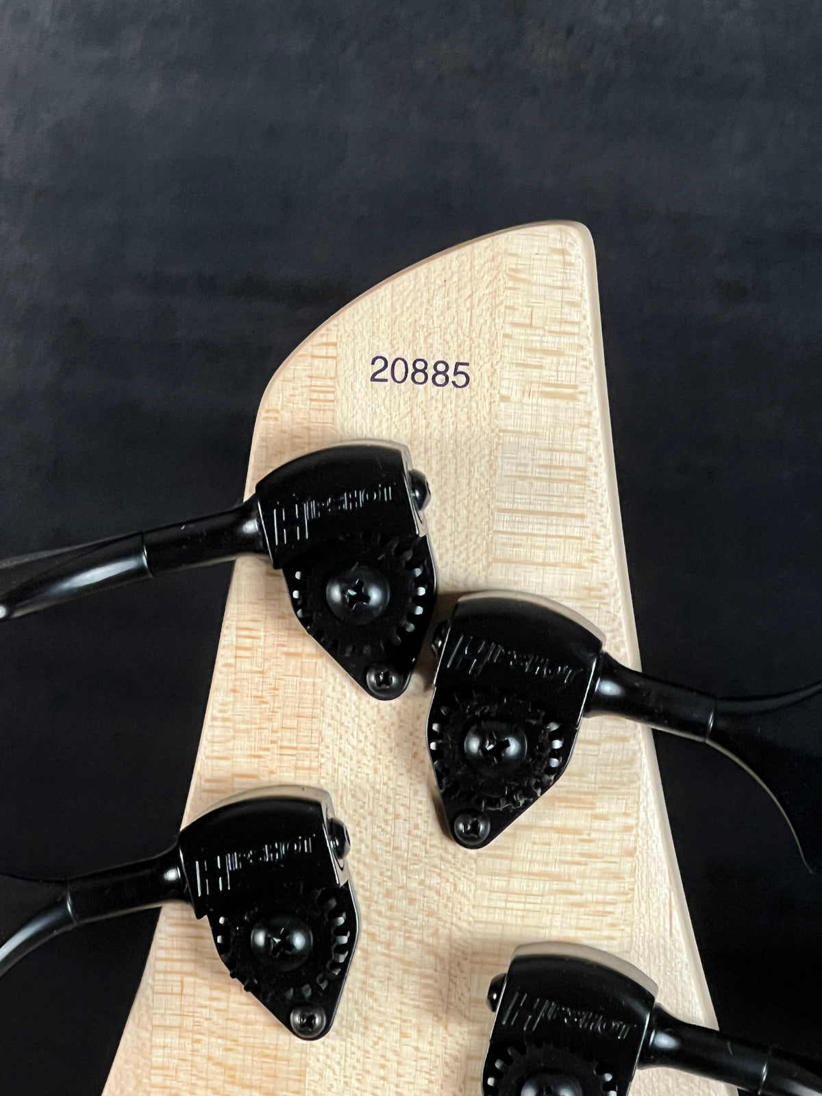 Dingwall Adam “Nolly” Getgood NG Signature 5-String #20885