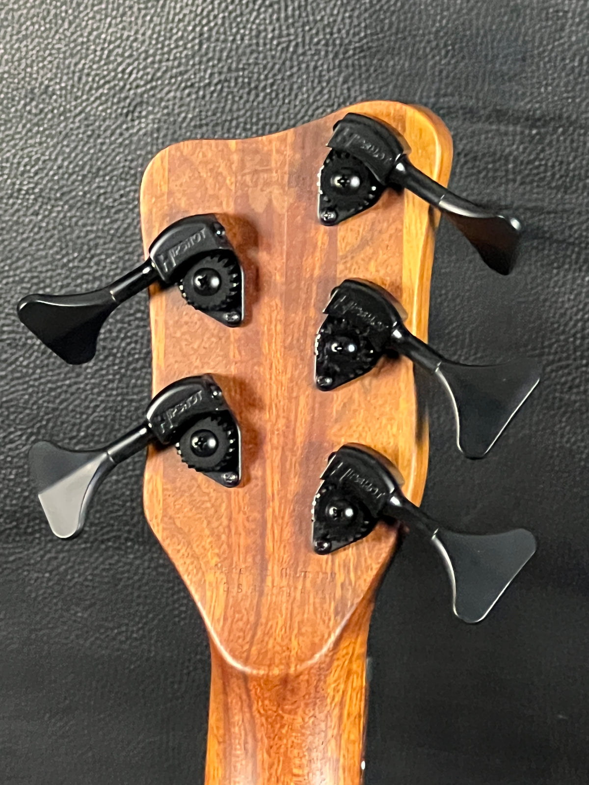 Warwick Corvette 5-String Bass (PRE-OWNED)