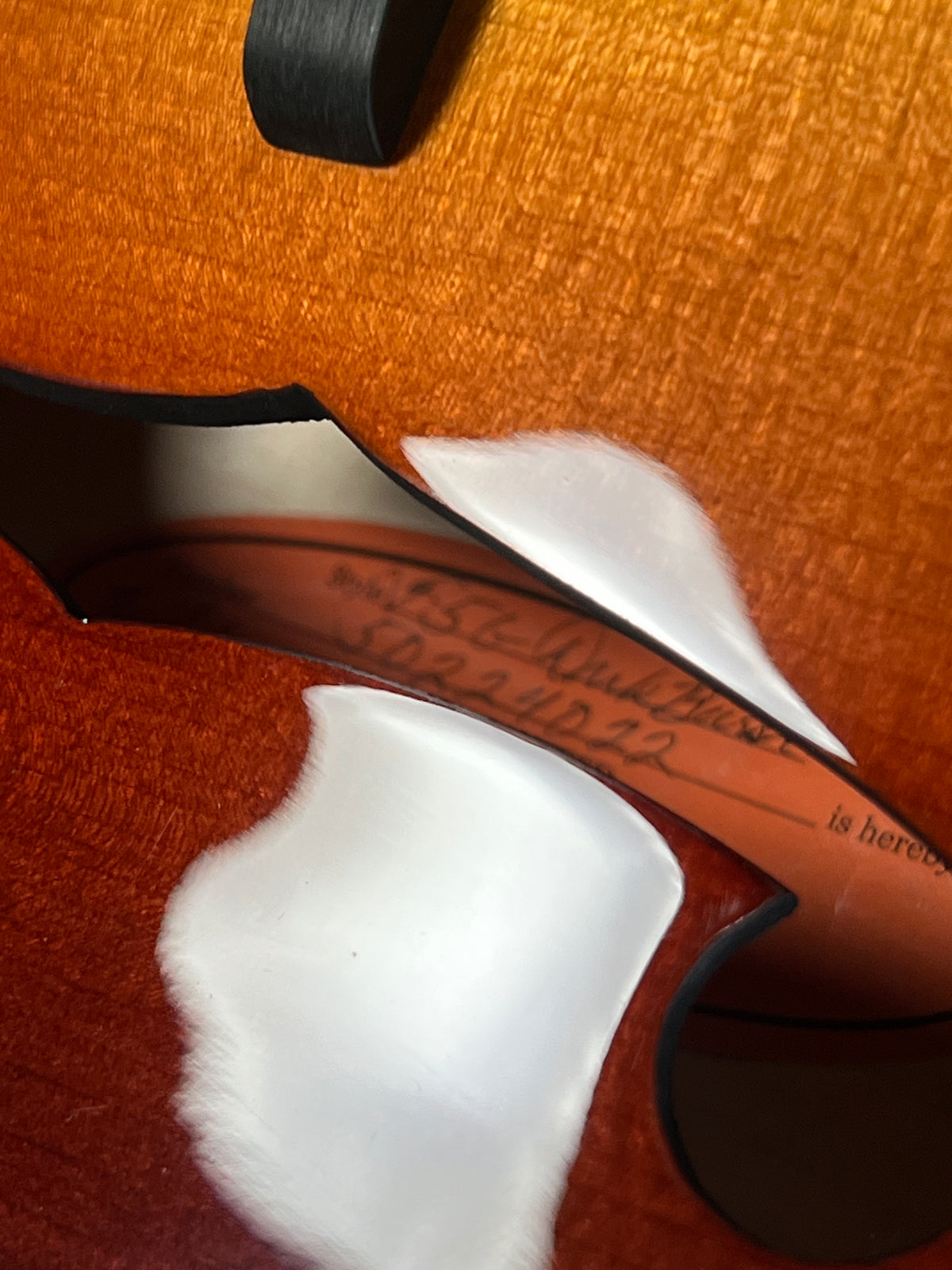 Gibson F-5G Mandolin