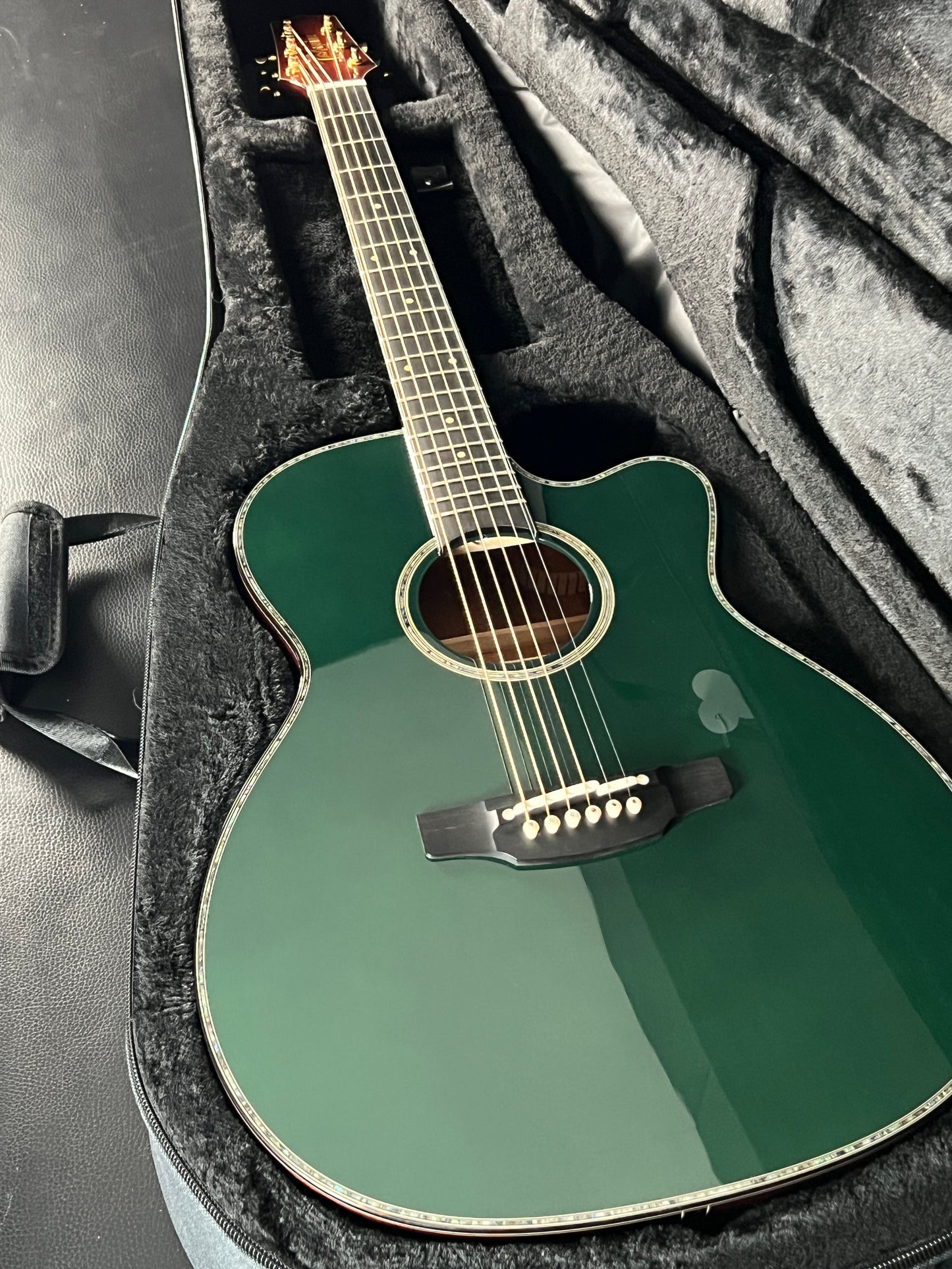 Takamine LTD2025 Limited Edition Antique Evergreen #63030074