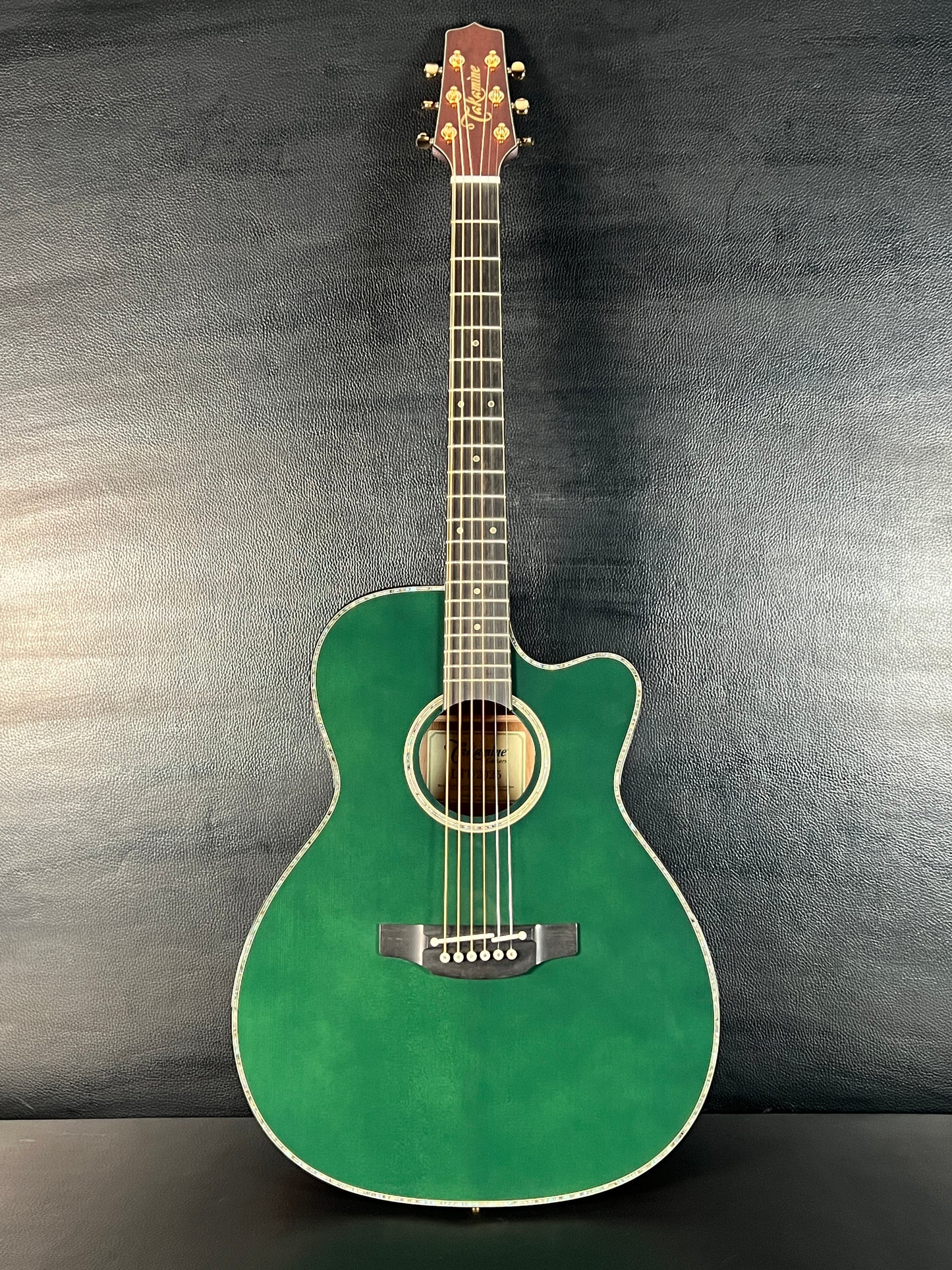 Takamine LTD2025 Limited Edition Antique Evergreen #63030074