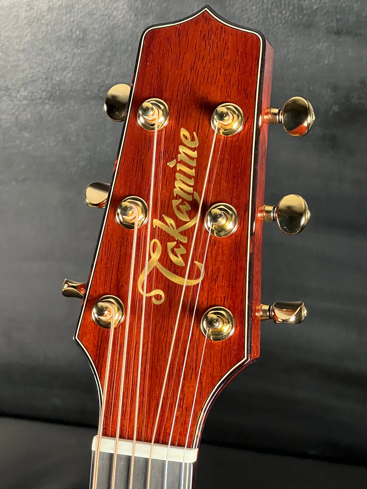 Takamine LTD2025 Limited Edition Antique Evergreen #63030074