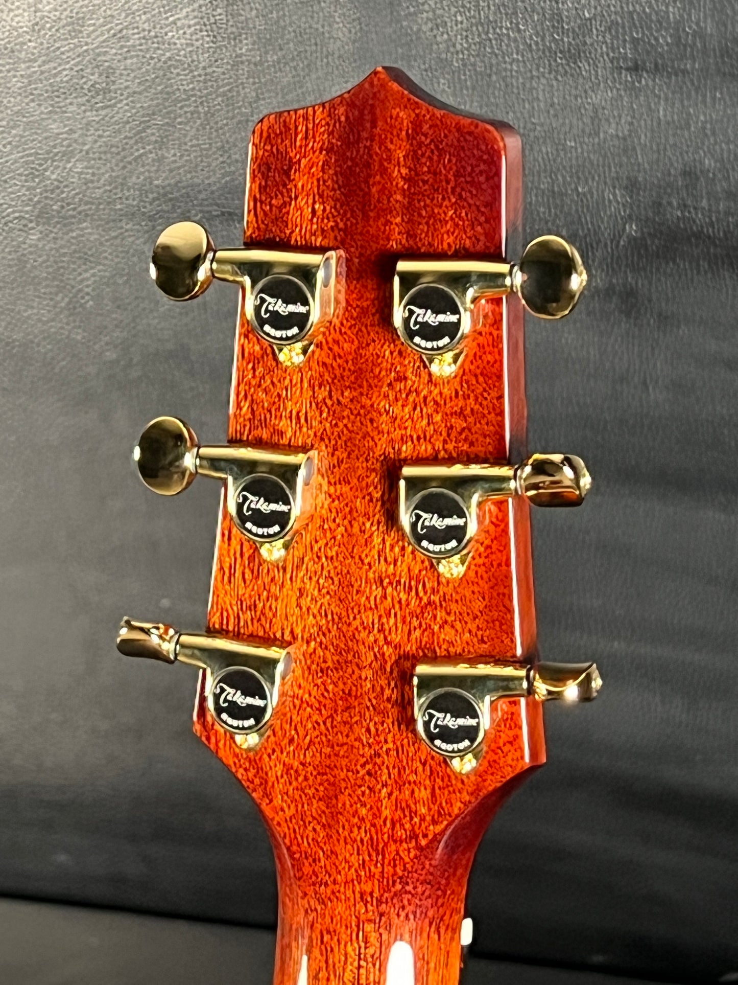 Takamine LTD2025 Limited Edition Antique Evergreen #63030074