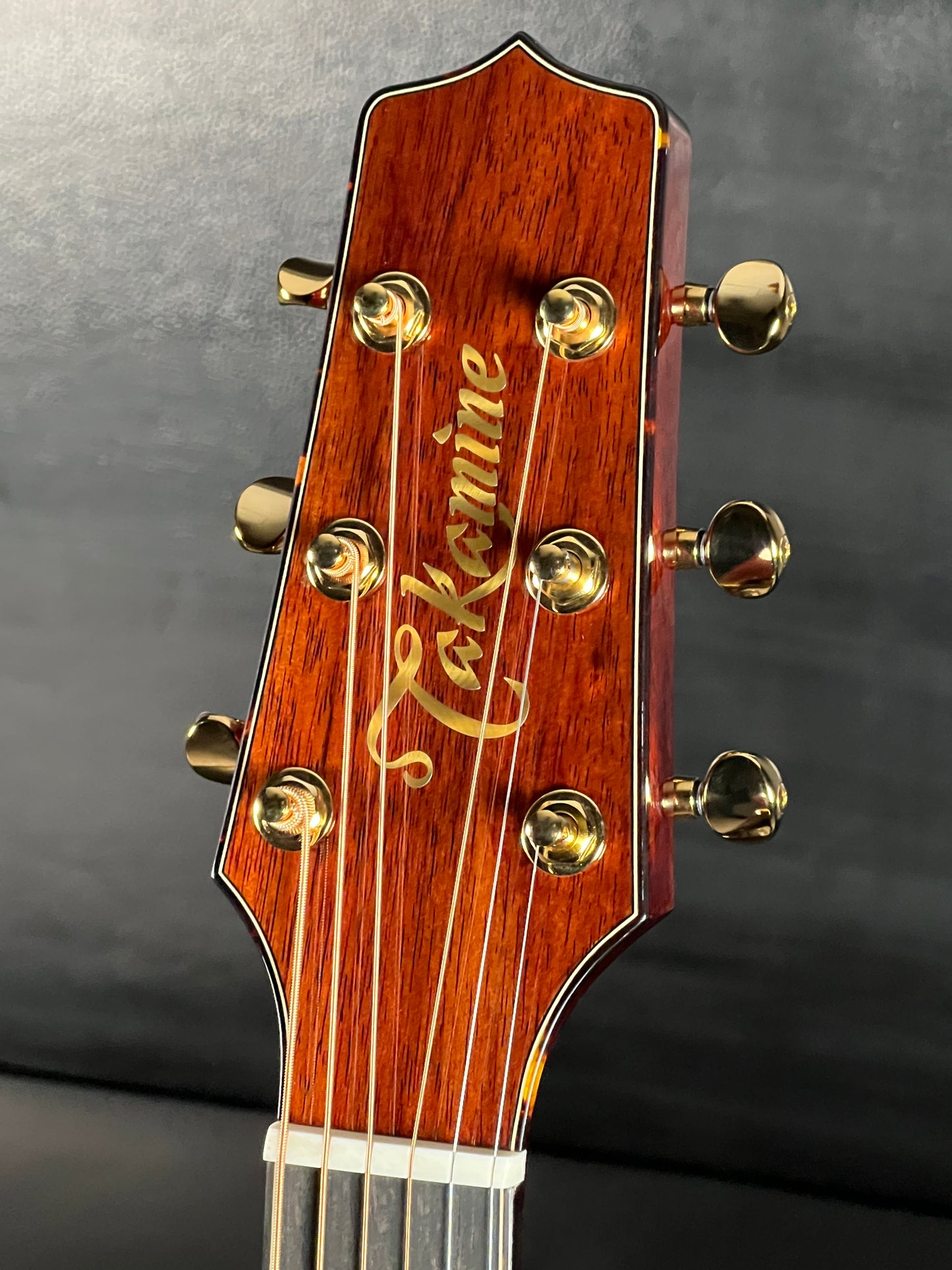 Takamine LTD2025 Limited Edition Antique Evergreen #63020438