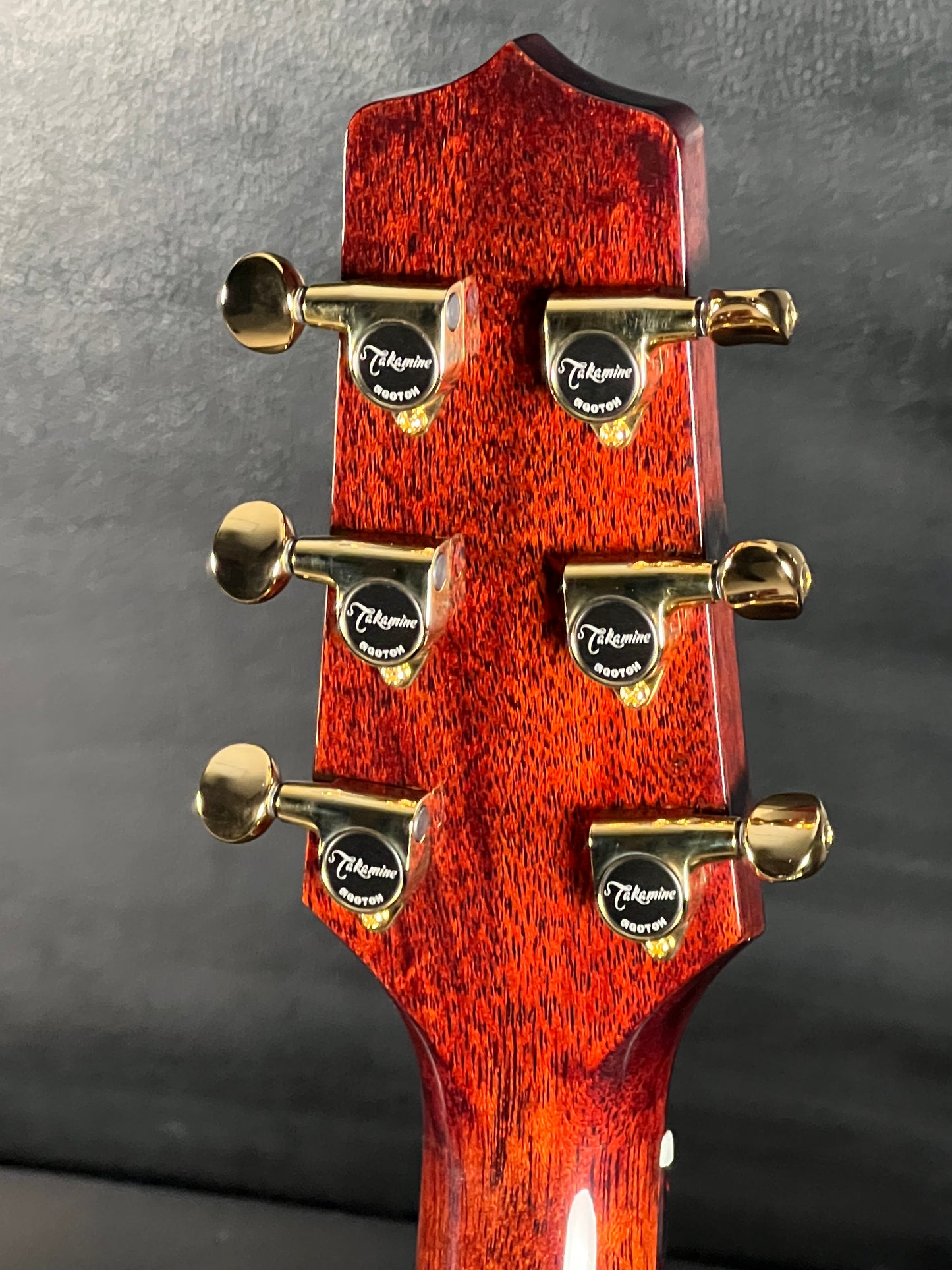 Takamine LTD2025 Limited Edition Antique Evergreen #63020438