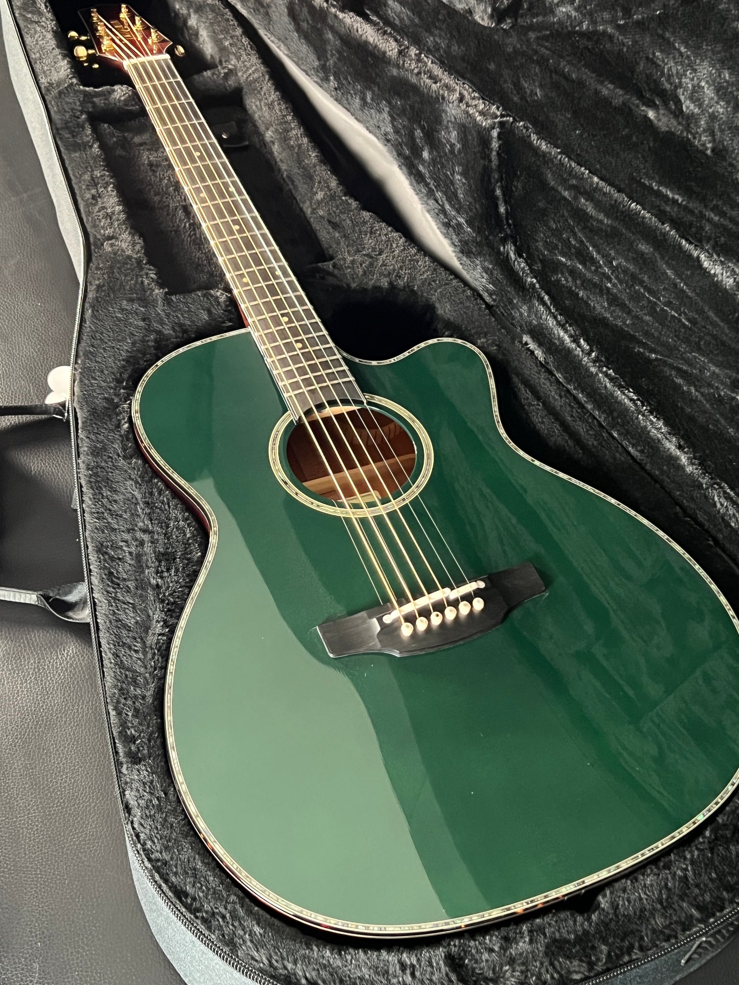 Takamine LTD2025 Limited Edition Antique Evergreen #63010392