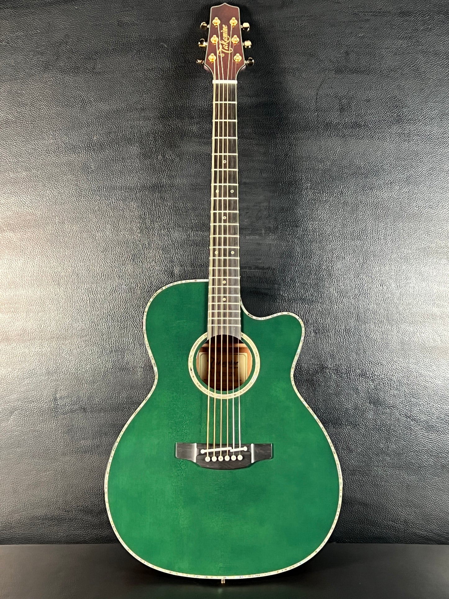 Takamine LTD2025 Limited Edition Antique Evergreen #63010392