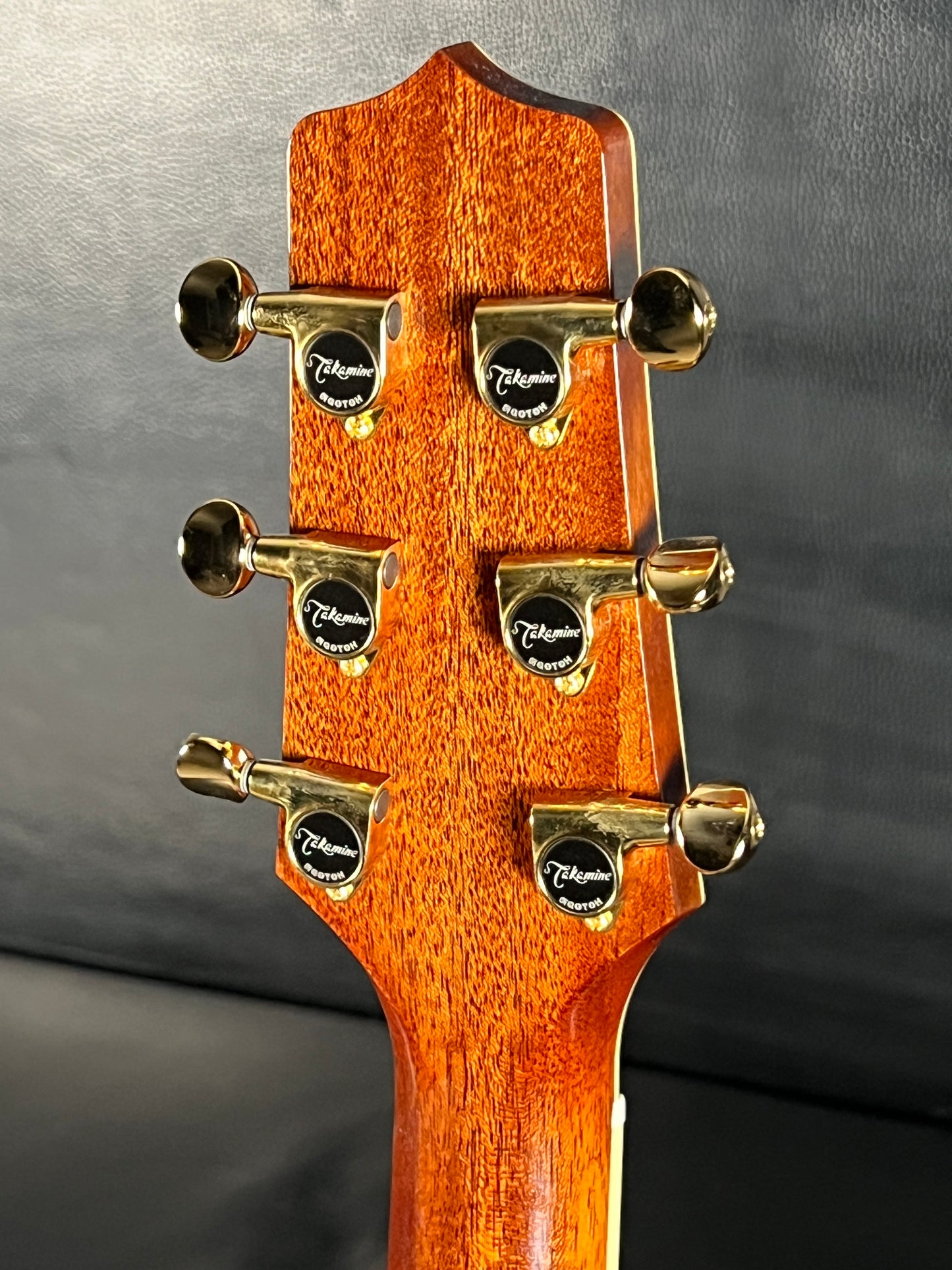 Takamine TSP138C TB (PRE-OWNED)