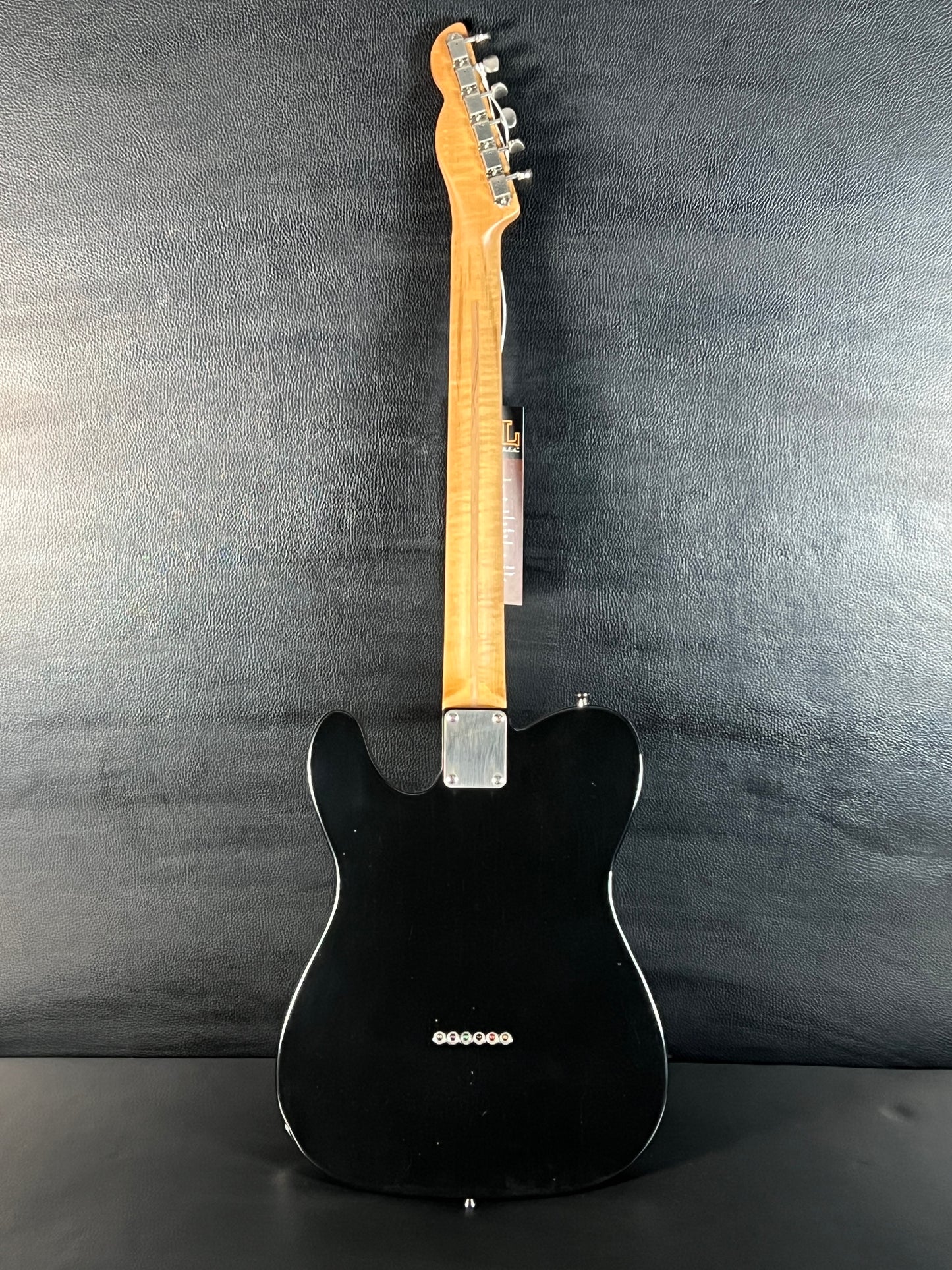 Newhall Tango 3P90 CH #8483