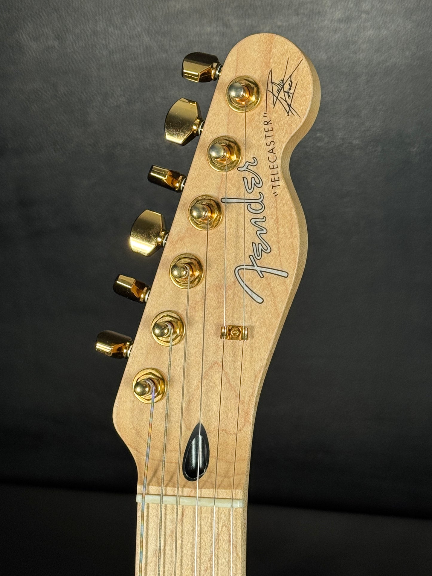 Fender Richie Kotzen Signature Telecaster Japan Brown Sunburst