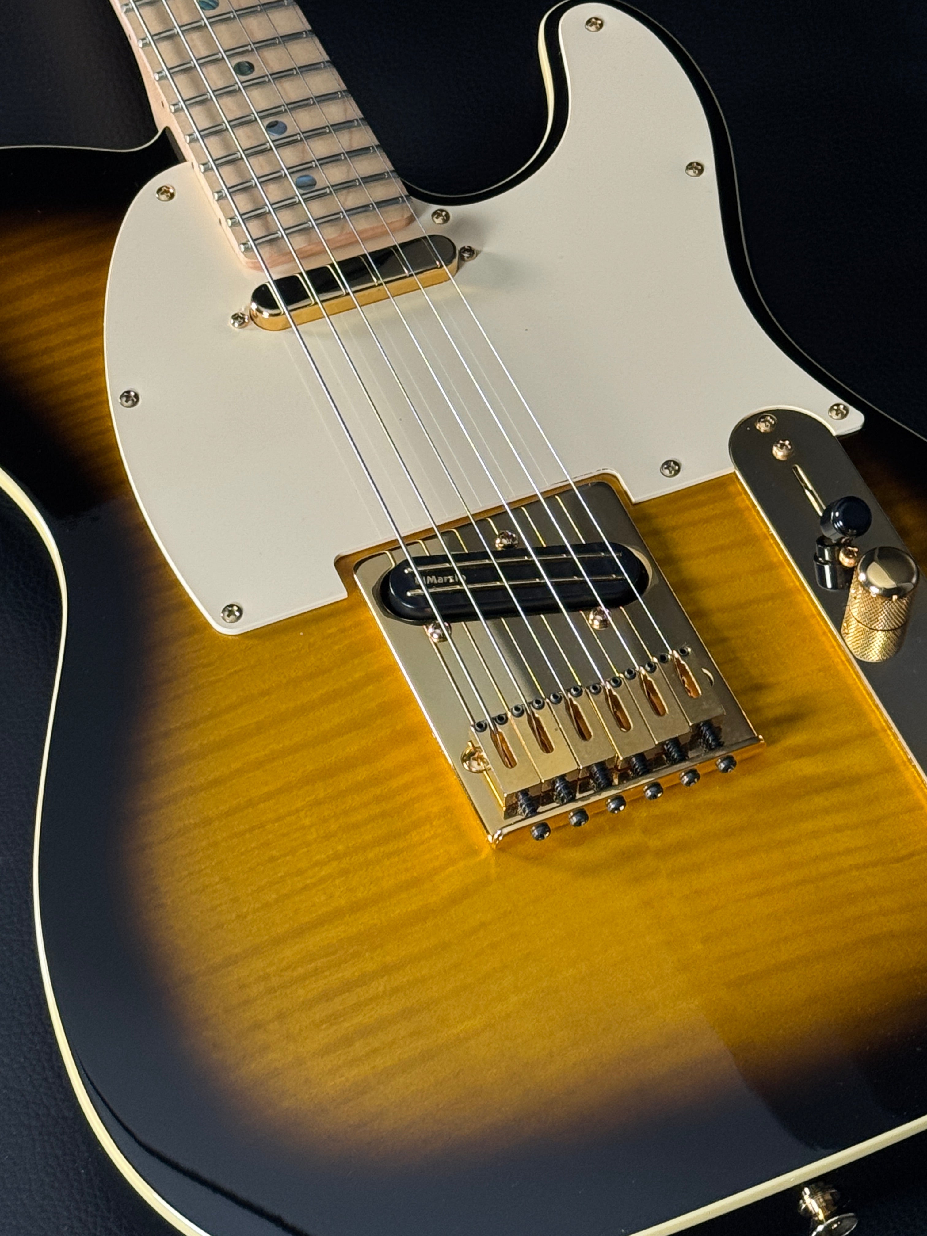 Fender Richie Kotzen Signature Telecaster Japan Brown Sunburst