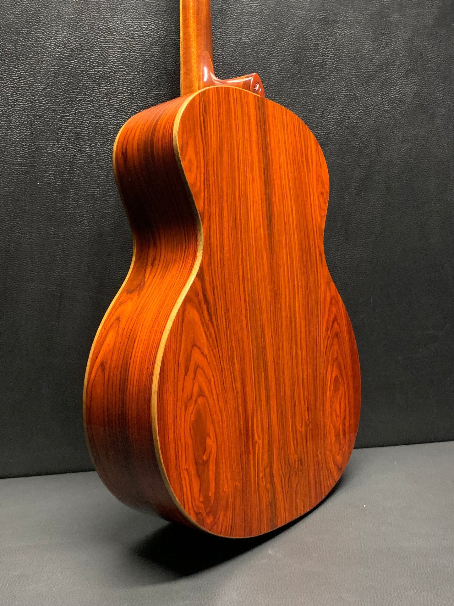 Dowina Master Series Cocobolo GA - DS Ltd #W2209574