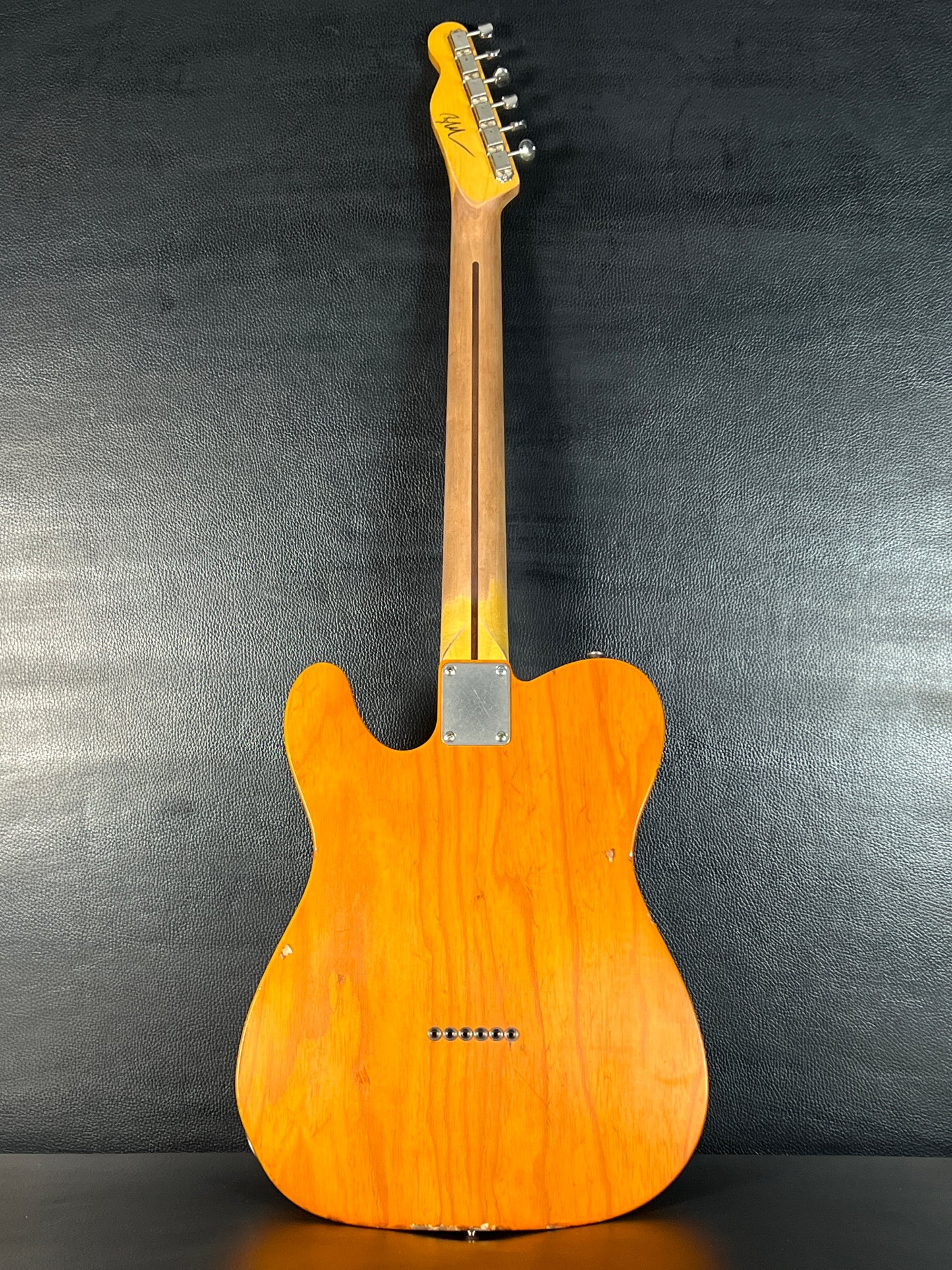 Nash Tele/Gibs