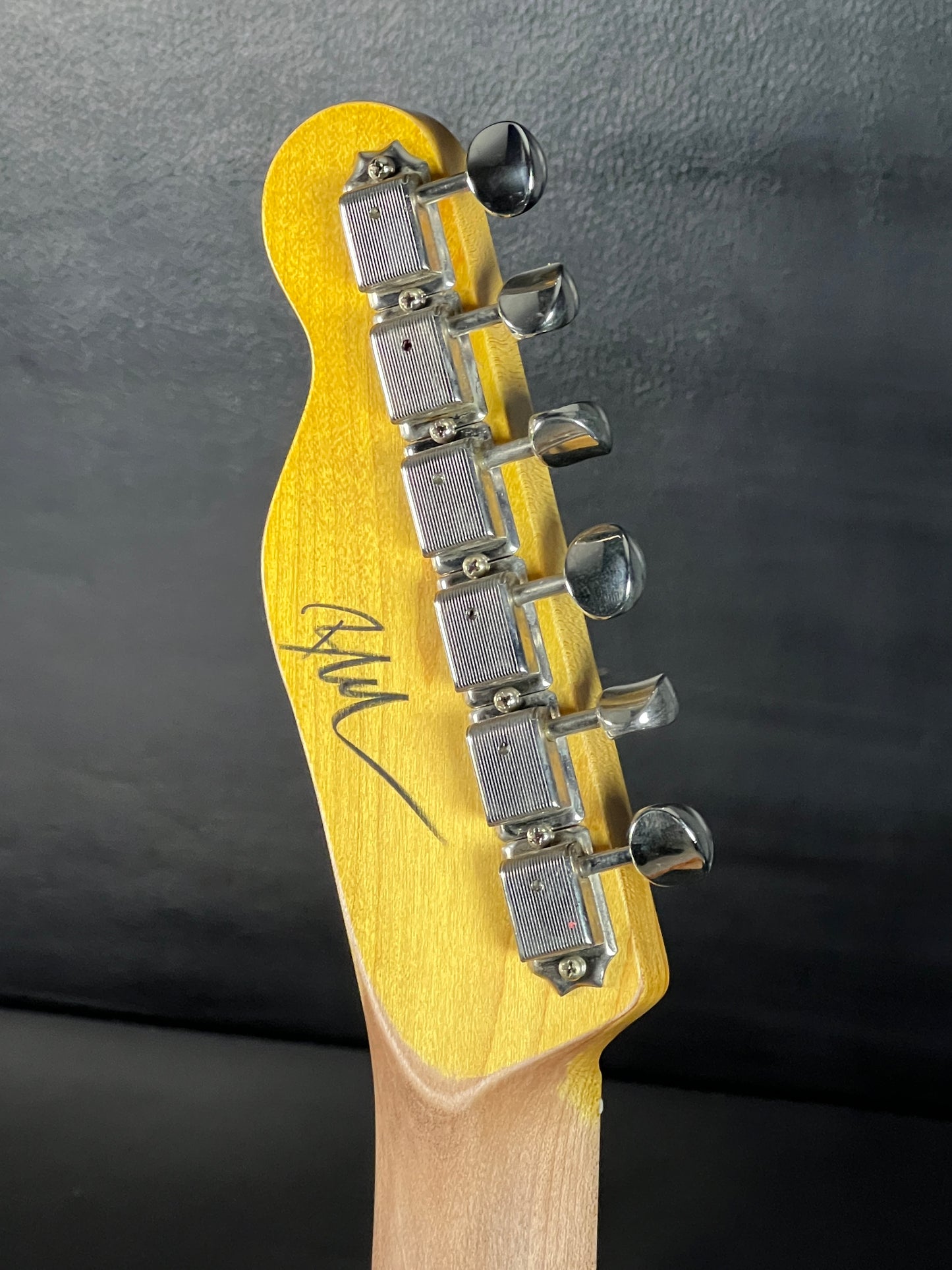 Nash Tele/Gibs