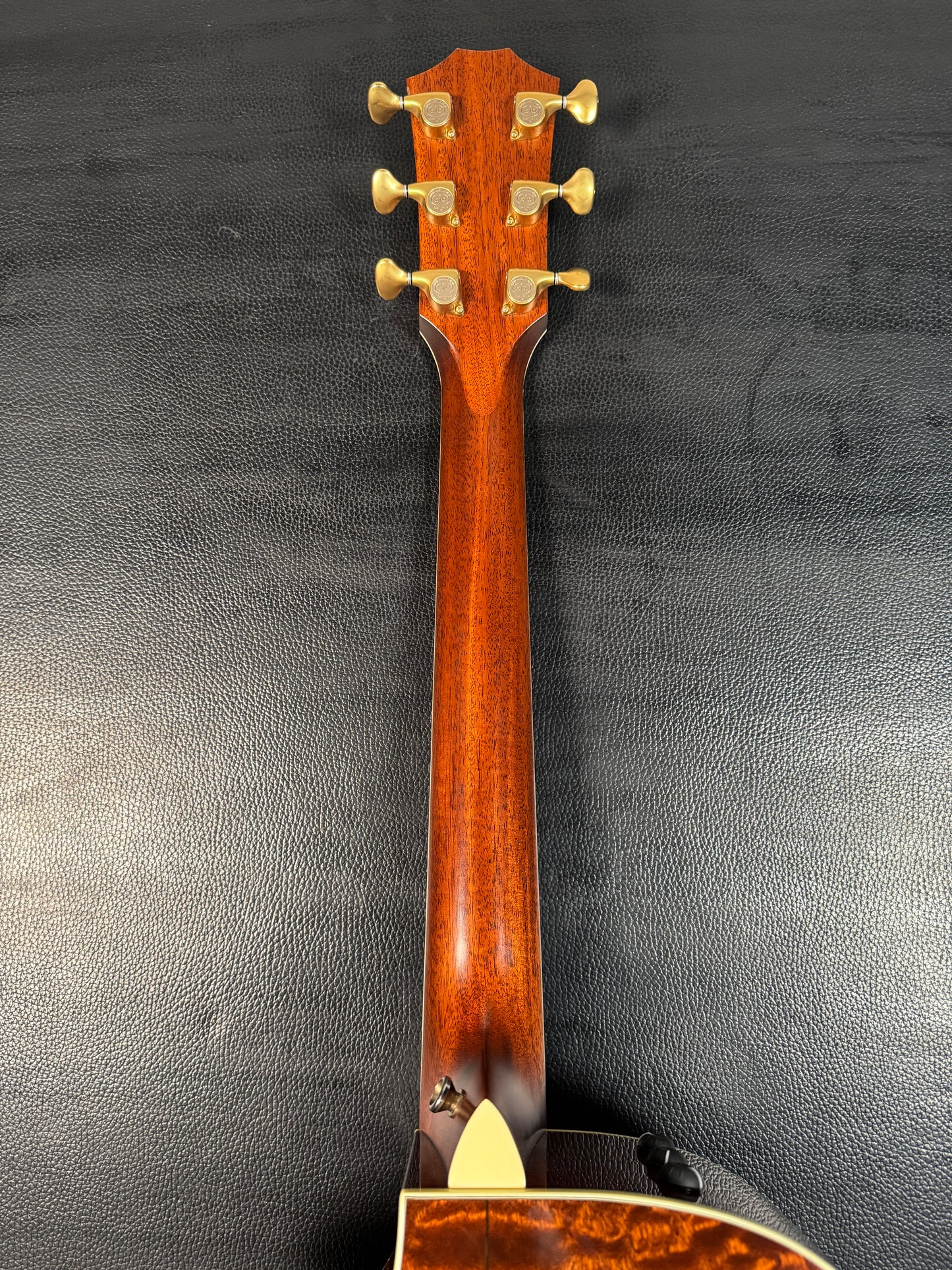 Taylor GACE FLTD Fall Limited Grand Auditorium Natural (PRE-OWNED)