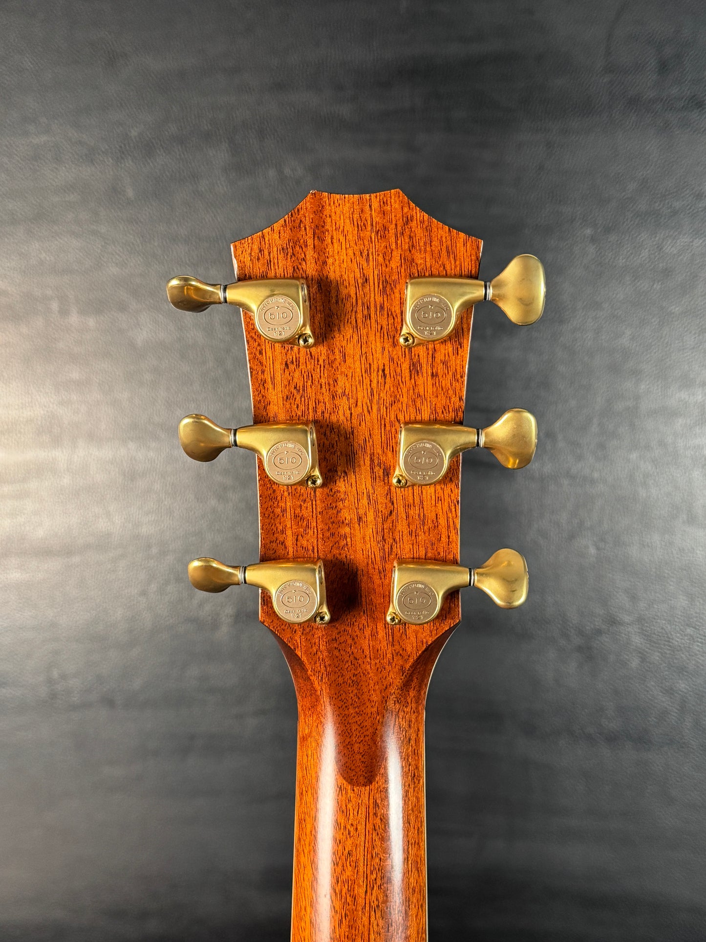 Taylor GACE FLTD Fall Limited Grand Auditorium Natural (PRE-OWNED)