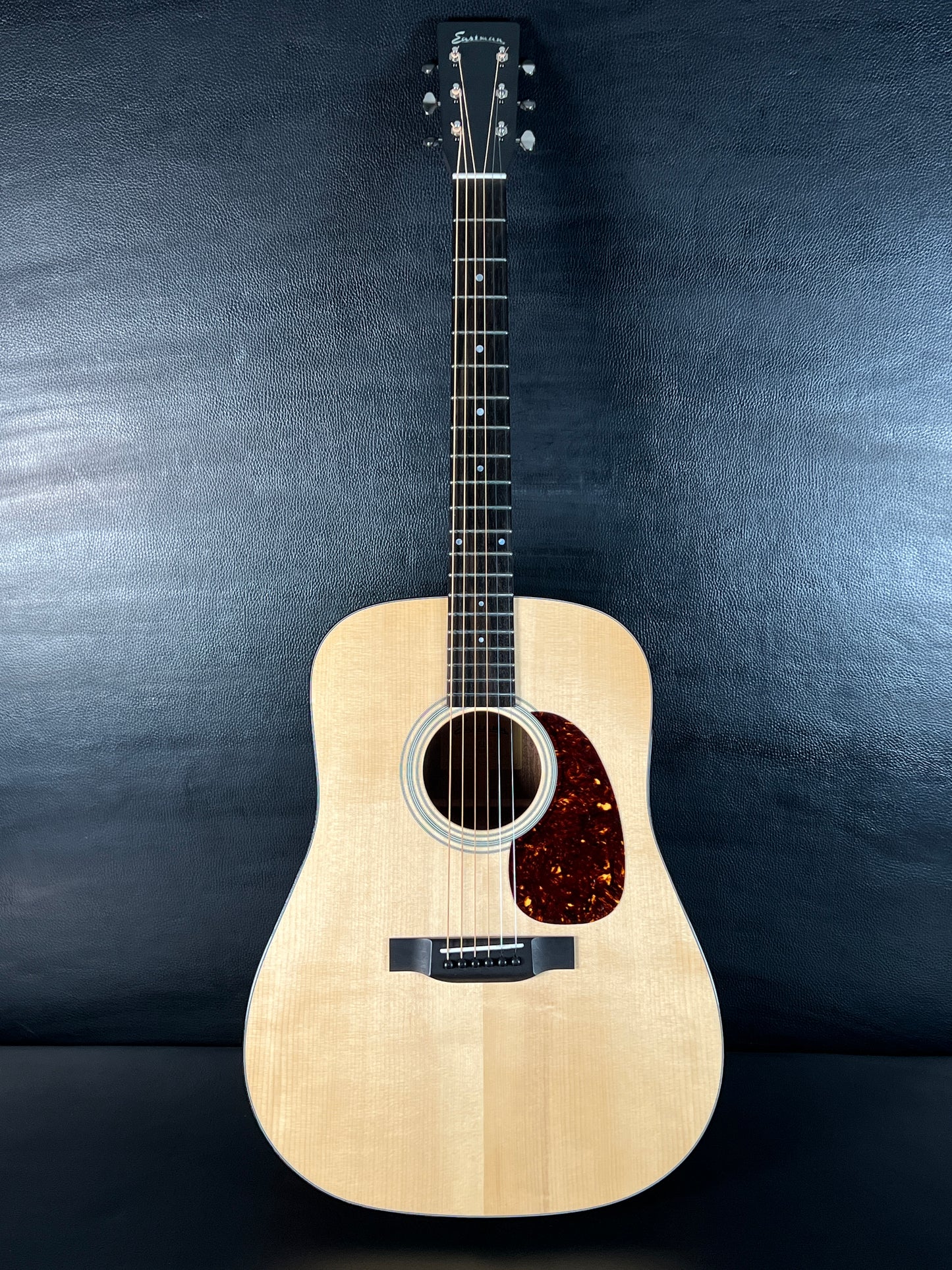 Eastman E10D (PRE-OWNED)