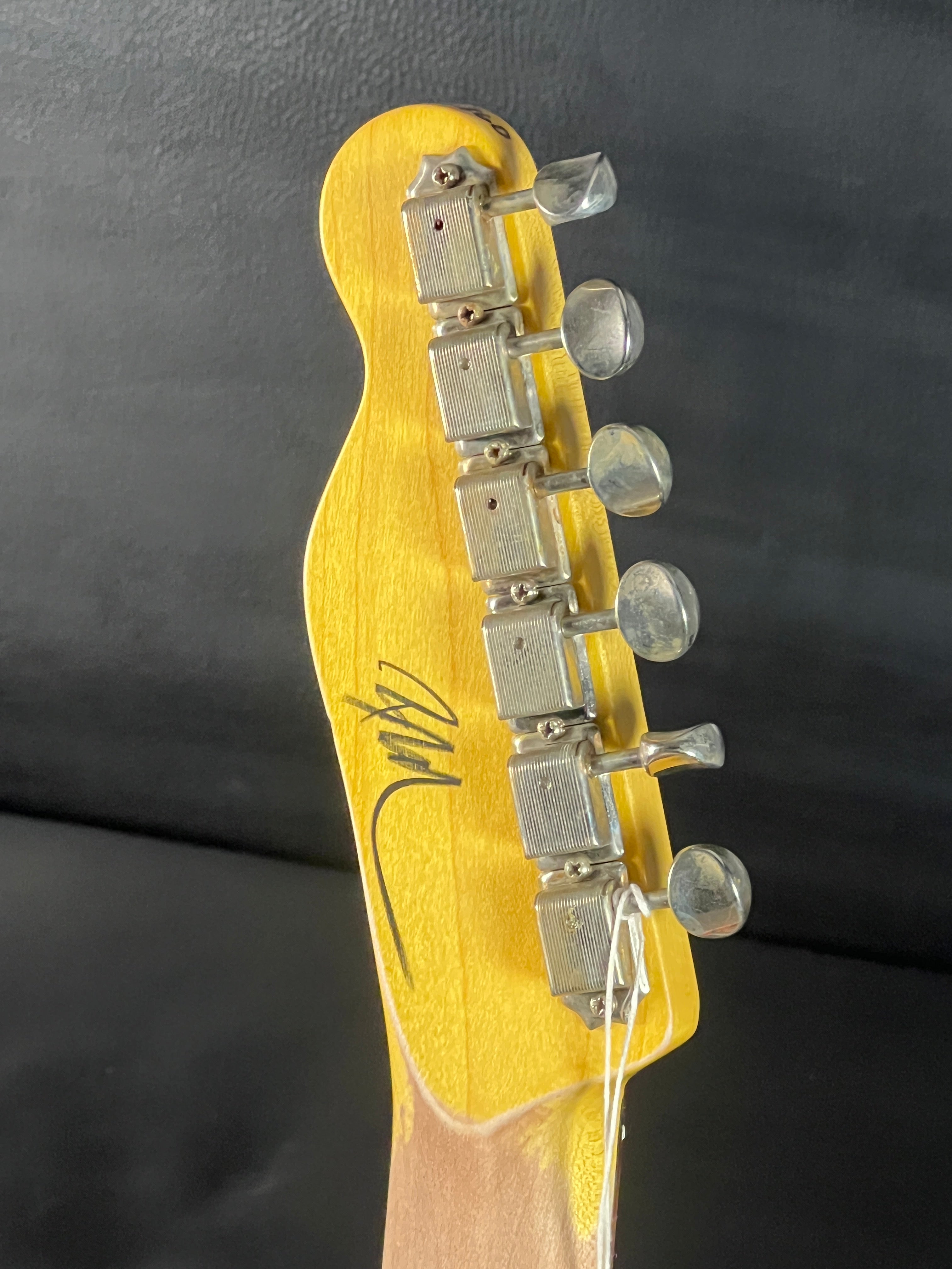 ギター Nash Guitars T-63 Nash T-63 #6260 – Guitar HAUS